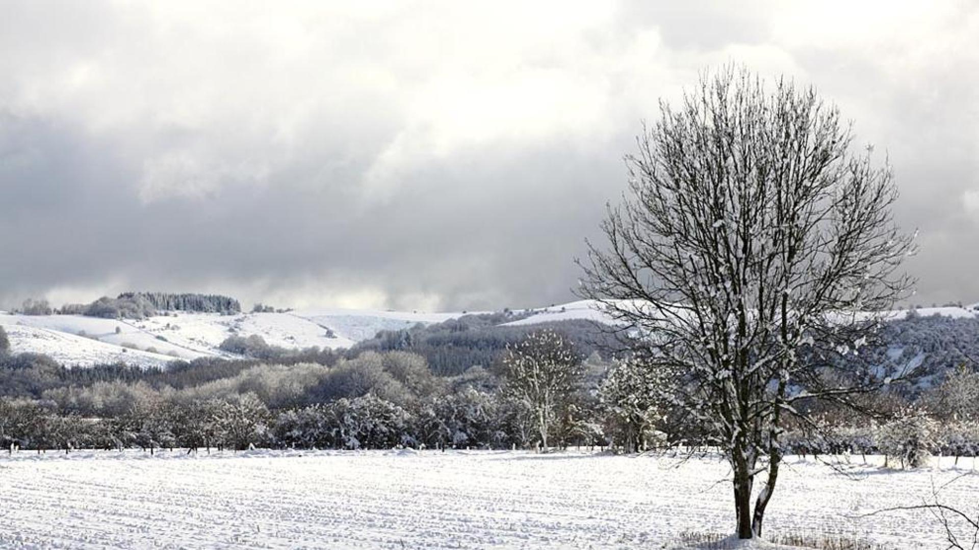 El temporal de nieve llega a Navarra
