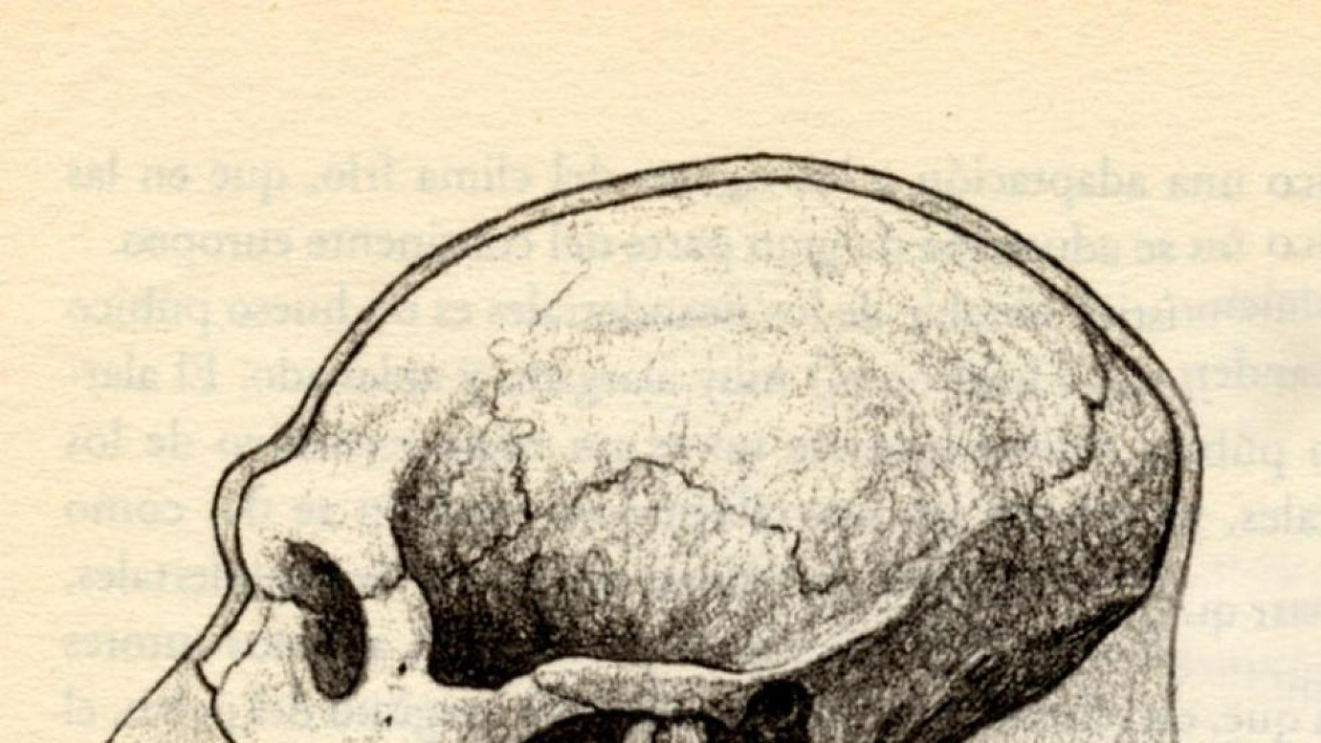 Secuencian por primera vez el ADN de un neandertal hallado en Catalu&ntilde;a