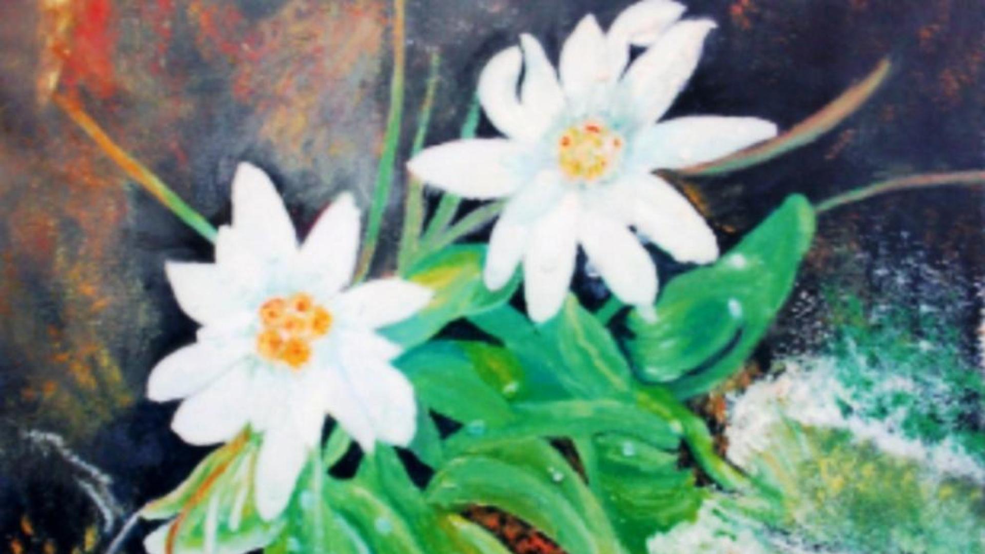 Mar&iacute;a &Aacute;ngeles Lez&aacute;un expone su arte en Peralta