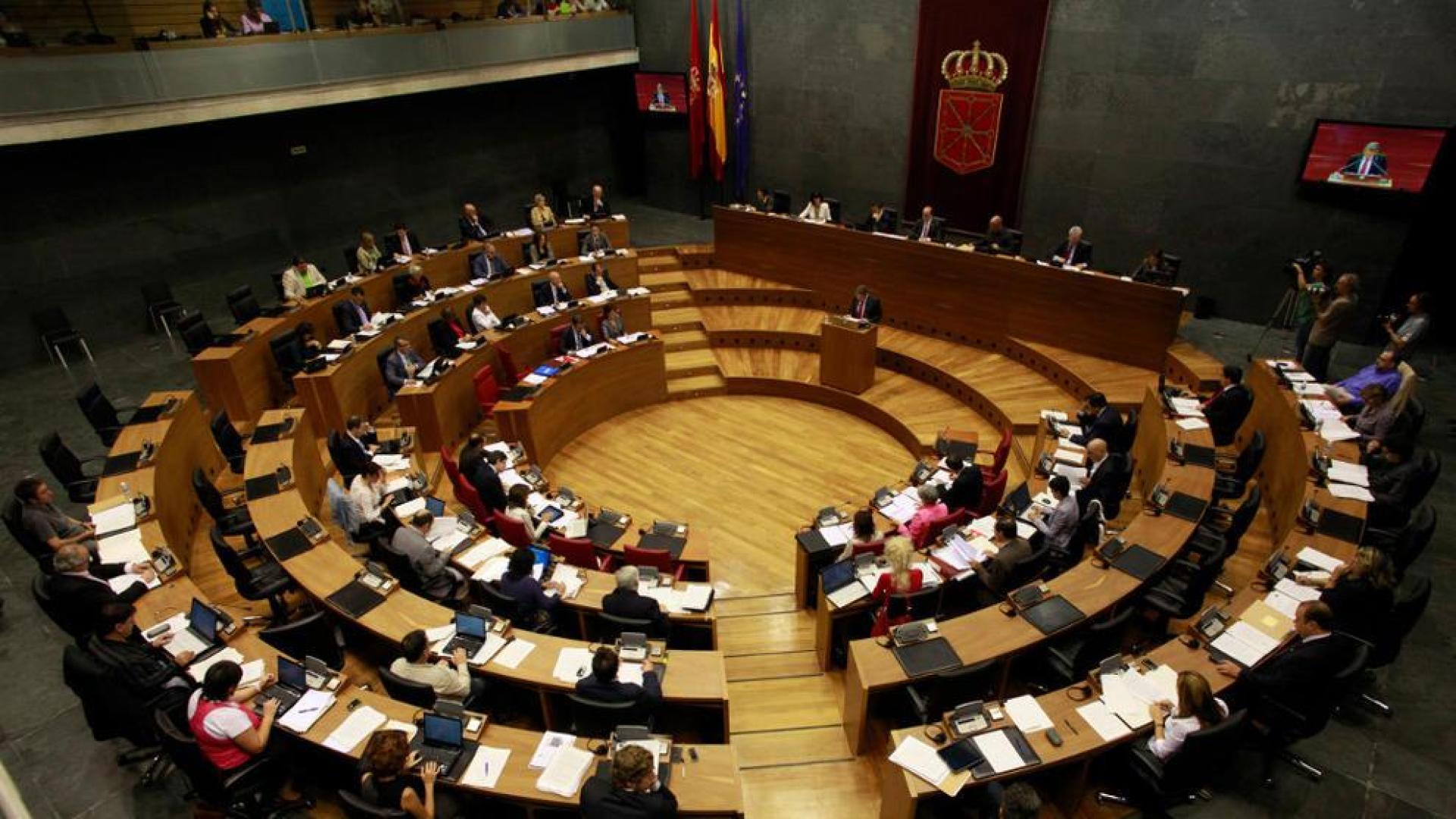En un pleno en el Parlamento de Navarra
