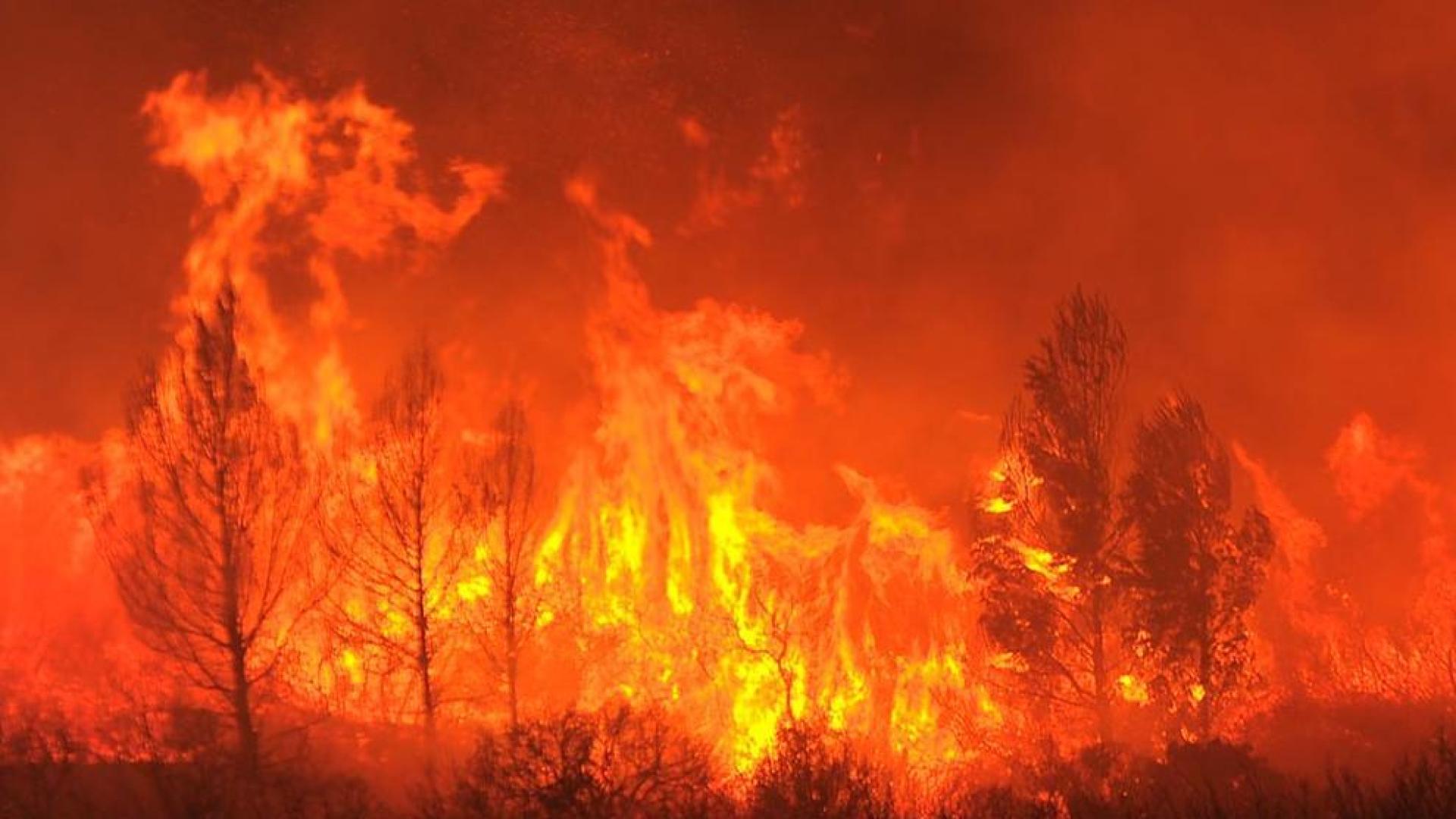 Dos fuegos que se registraron este domingo en las zonas de La Jonquera y Portbou, en la comarca de Empordà (Girona) han dejado un saldo de tres fallecidos y casi una veintena de heridos.