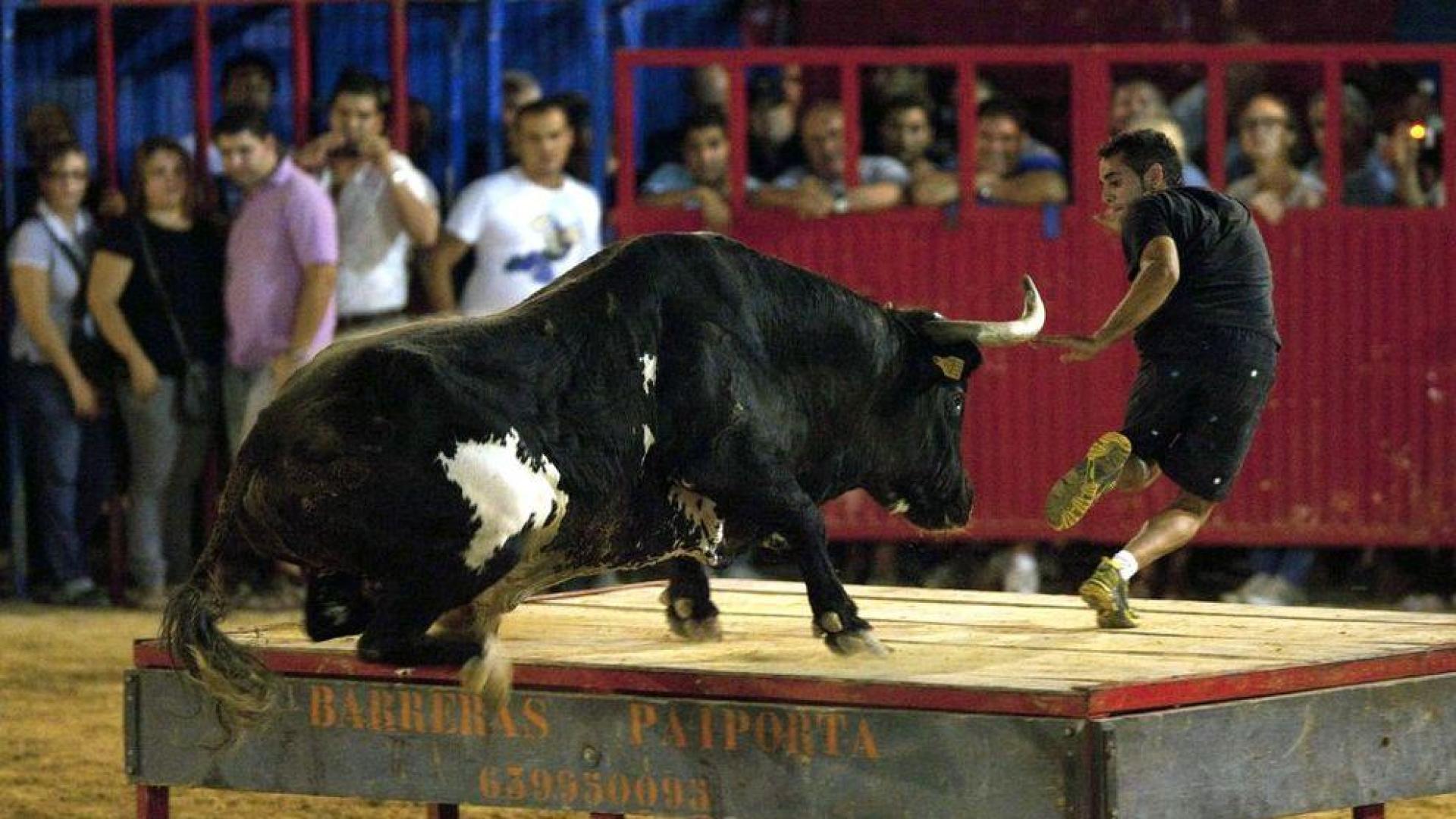 Muere "Rat&oacute;n", el toro m&aacute;s famoso de Espa&ntilde;a