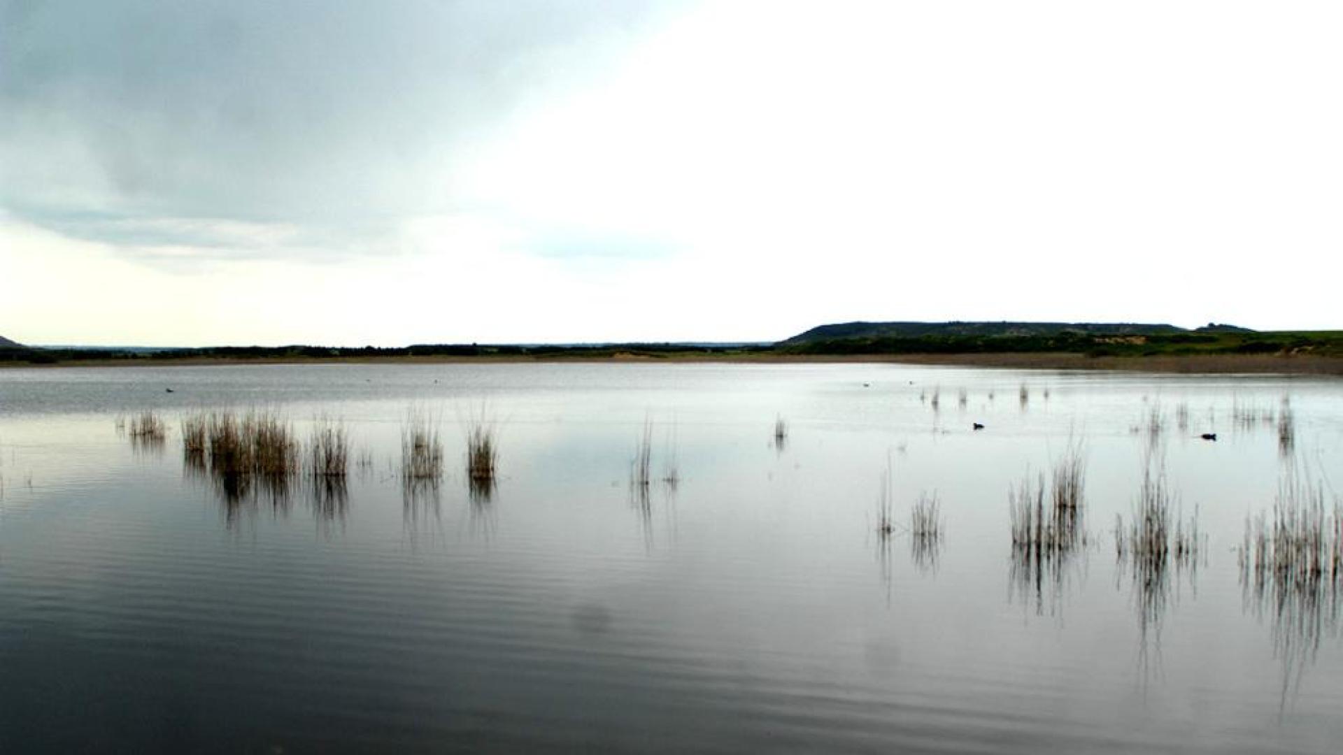 Día del Agua en Pitillas