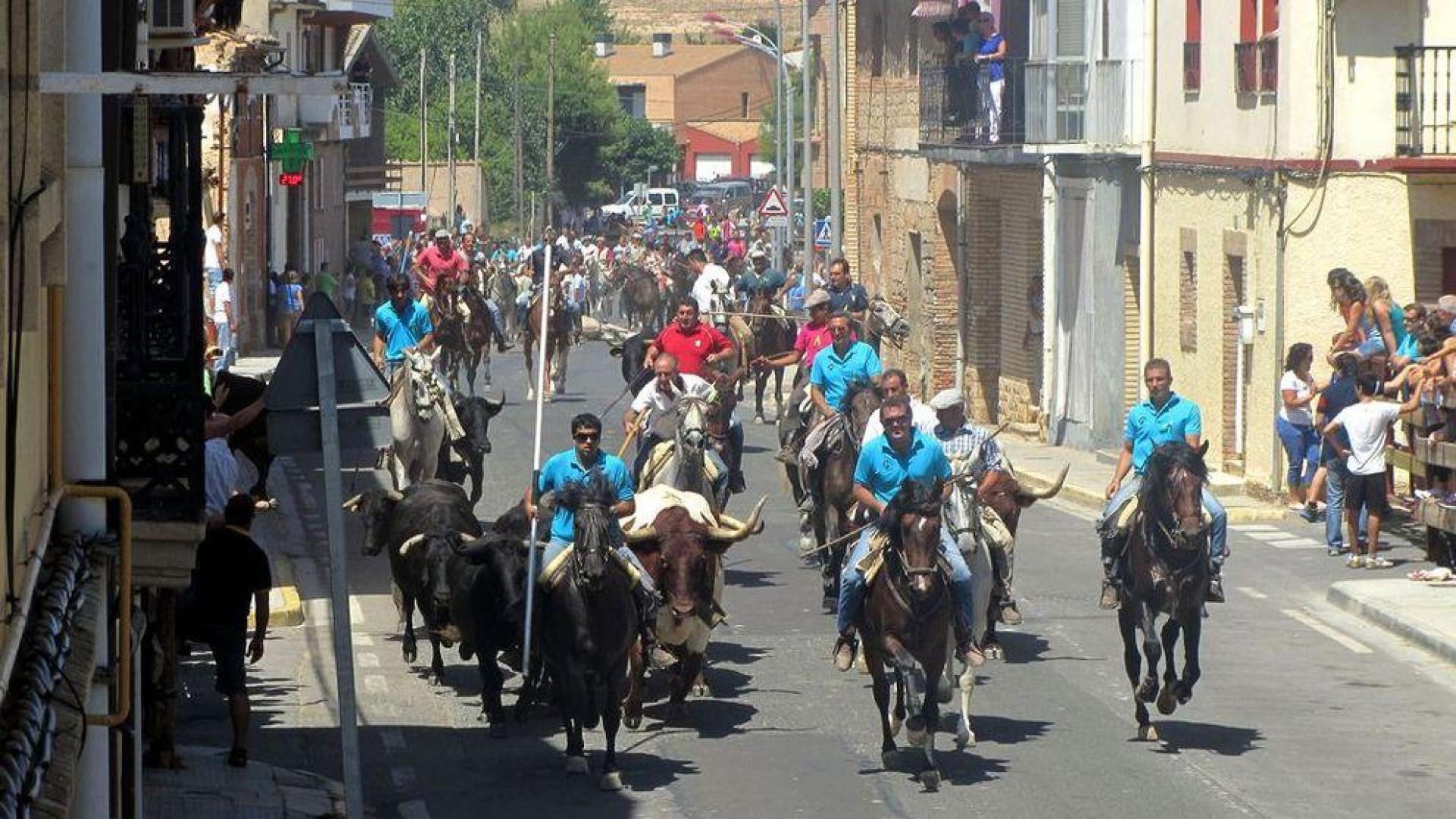 Ruta de trashumancia en Cascante