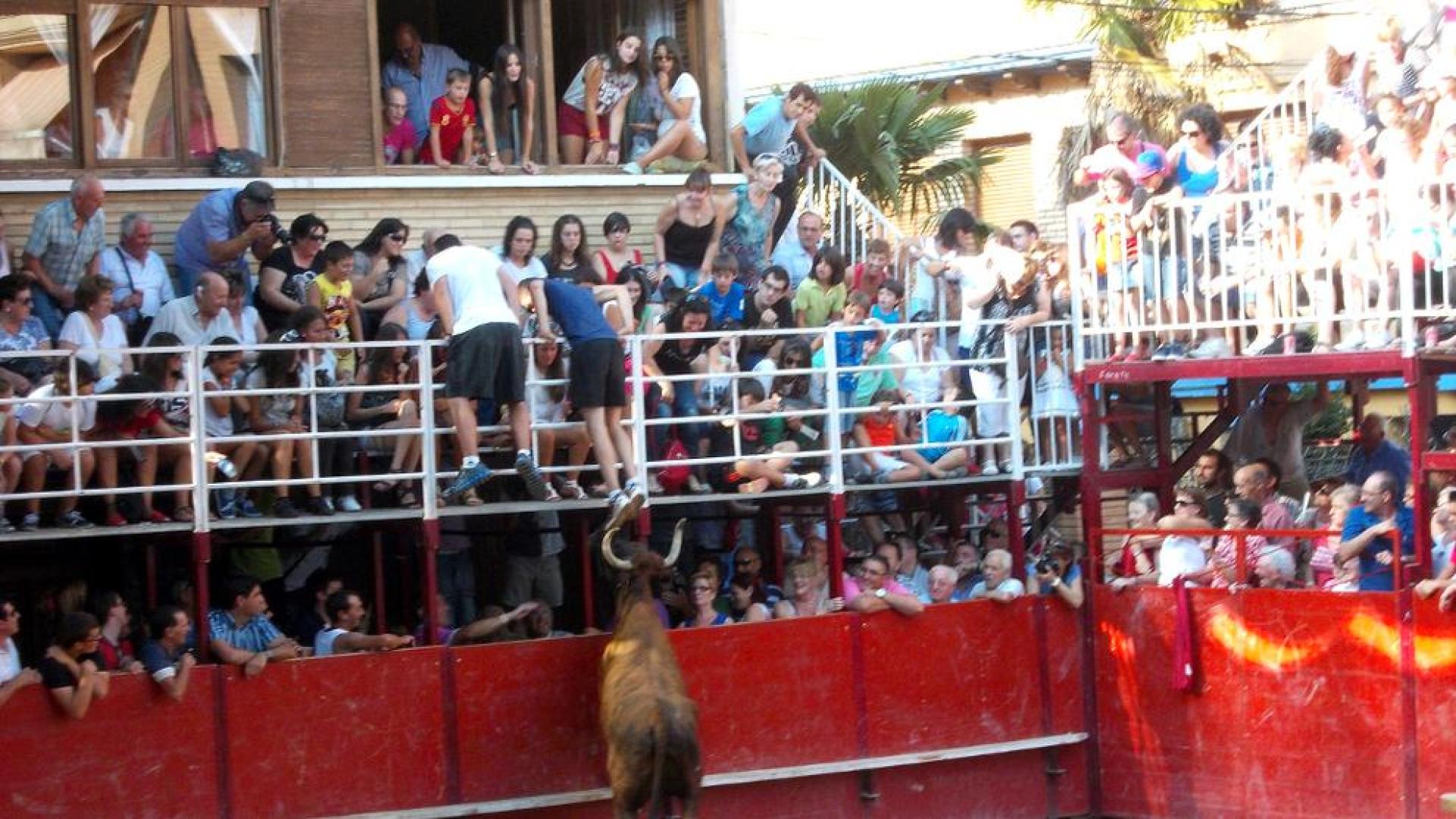 Emoción y mucho riesgo en la suelta de vacas de Arriazu en Murchante