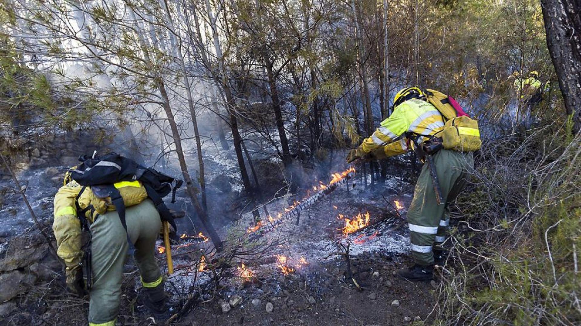 Controlado el incendio del Montg&oacute; que ha afectado a 40 hect&aacute;reas