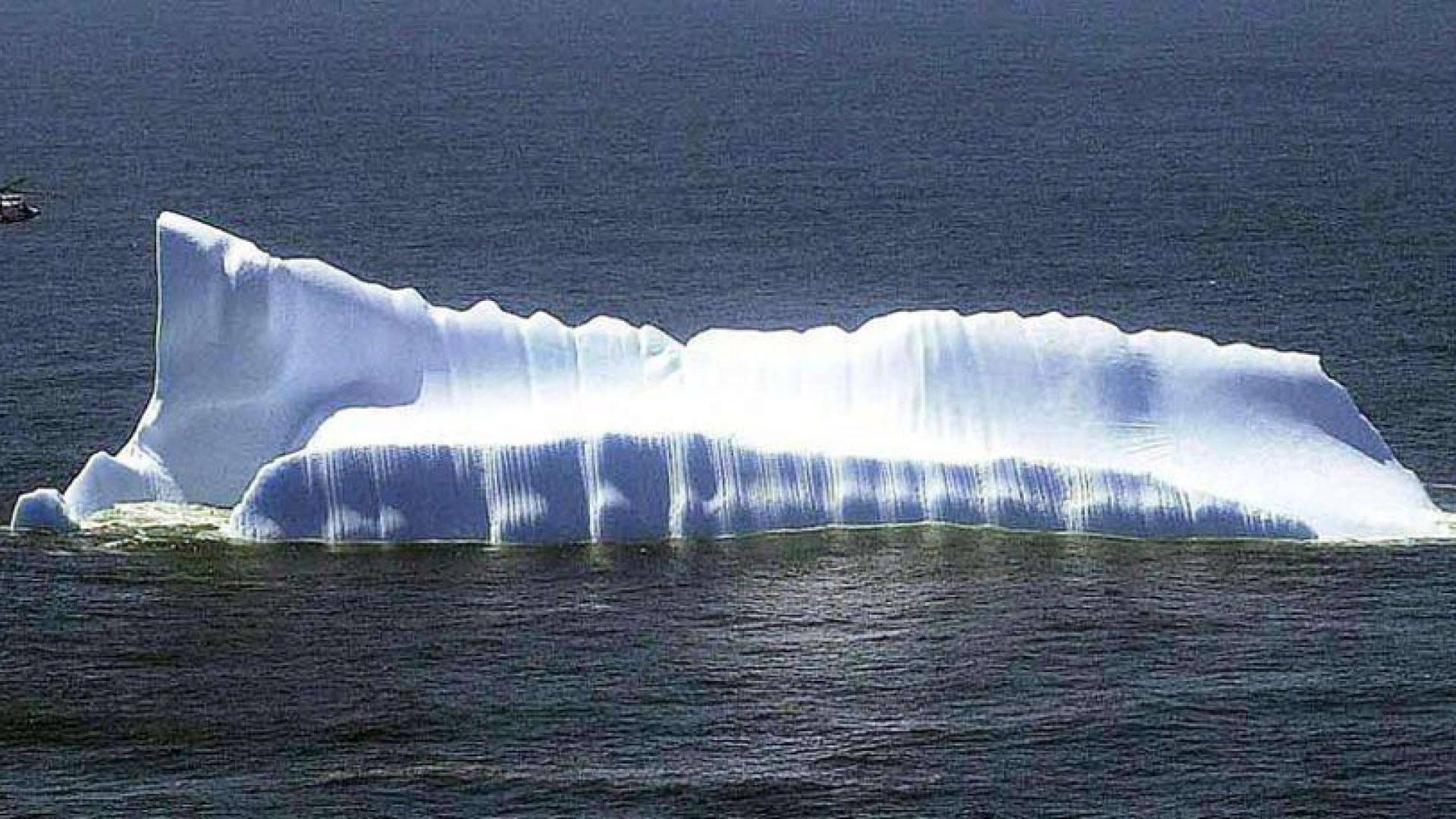 T&eacute;mpanos de hielo a la deriva reducen las especies marinas