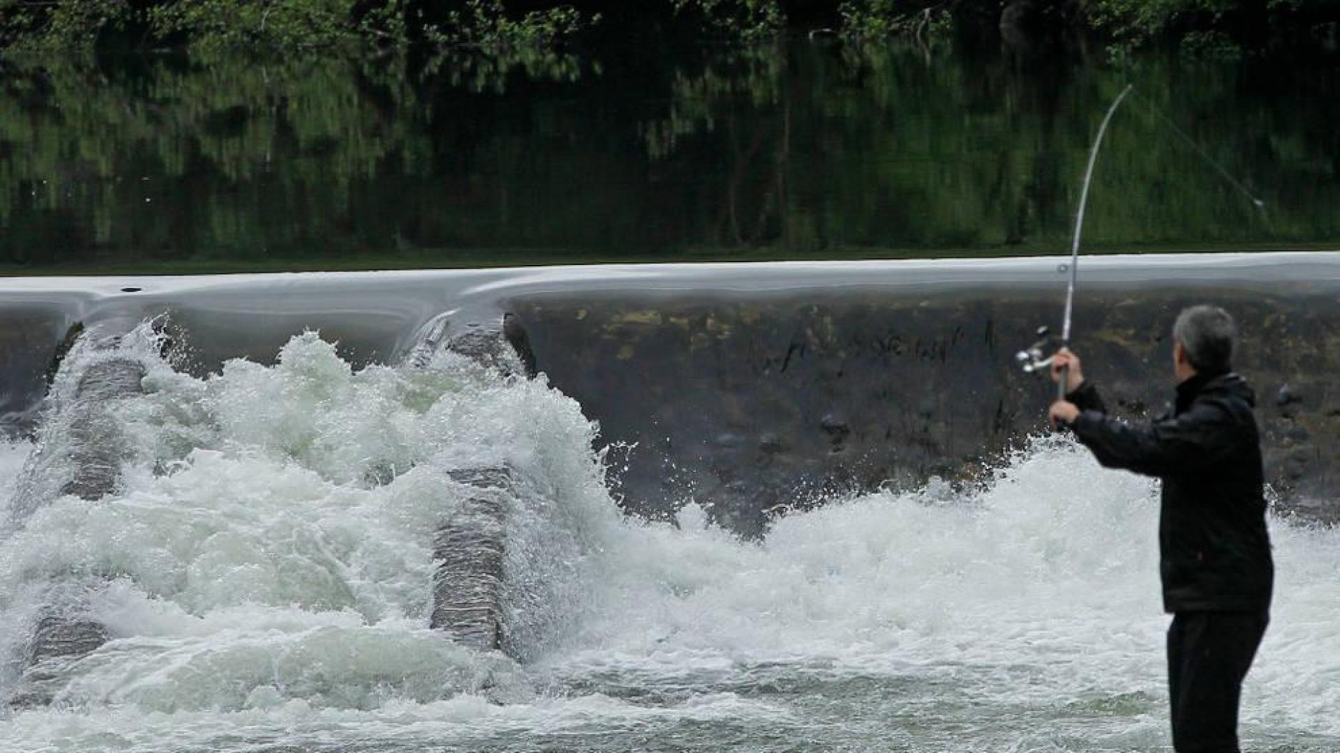 Un pescador del río Bidasoa, en la zona del Pozo de los 50, en Endarlatsa.