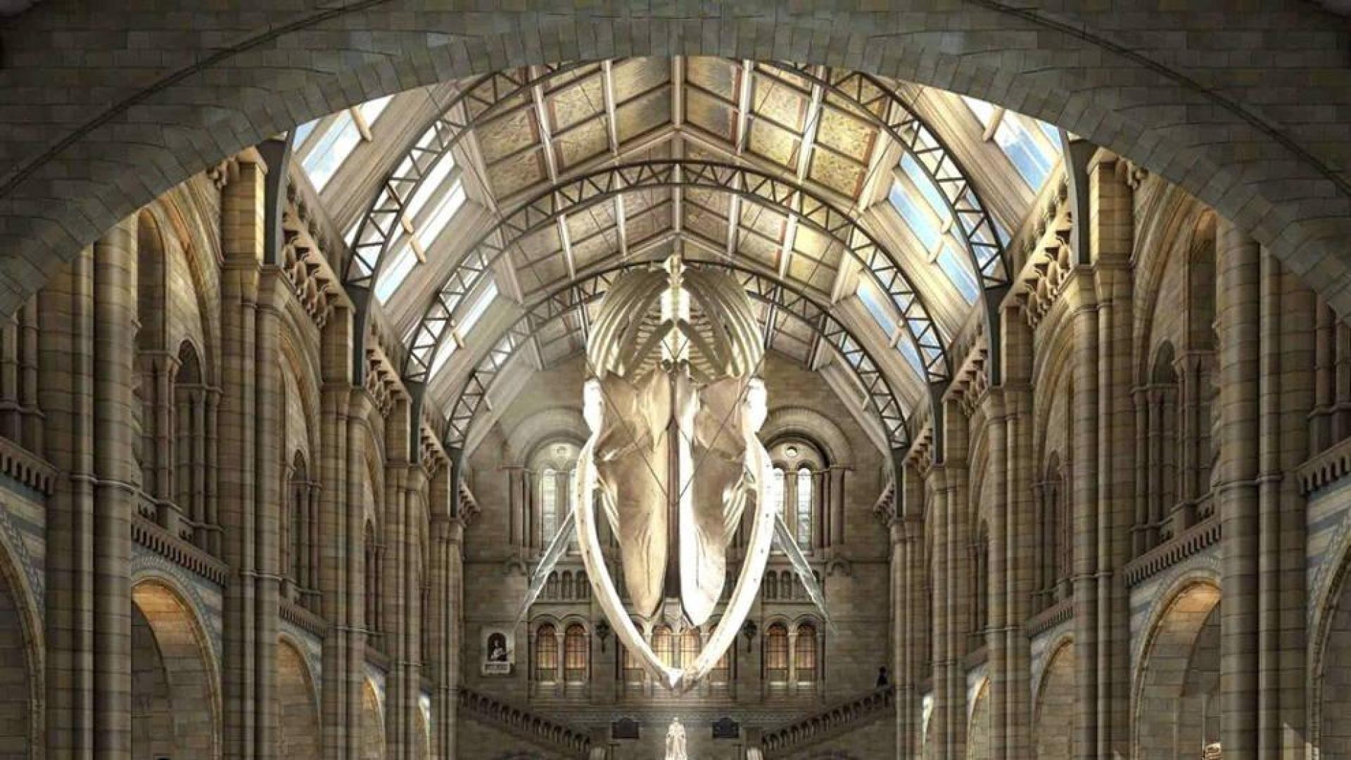 Una gran ballena, en la entrada del Museo de Historia Natural