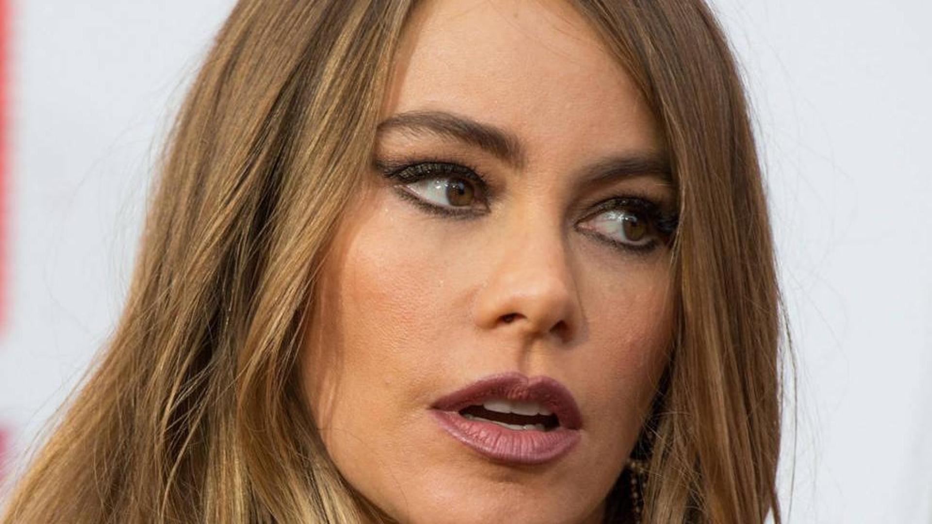 El exnovio de Sofía Vergara solicita sus embriones