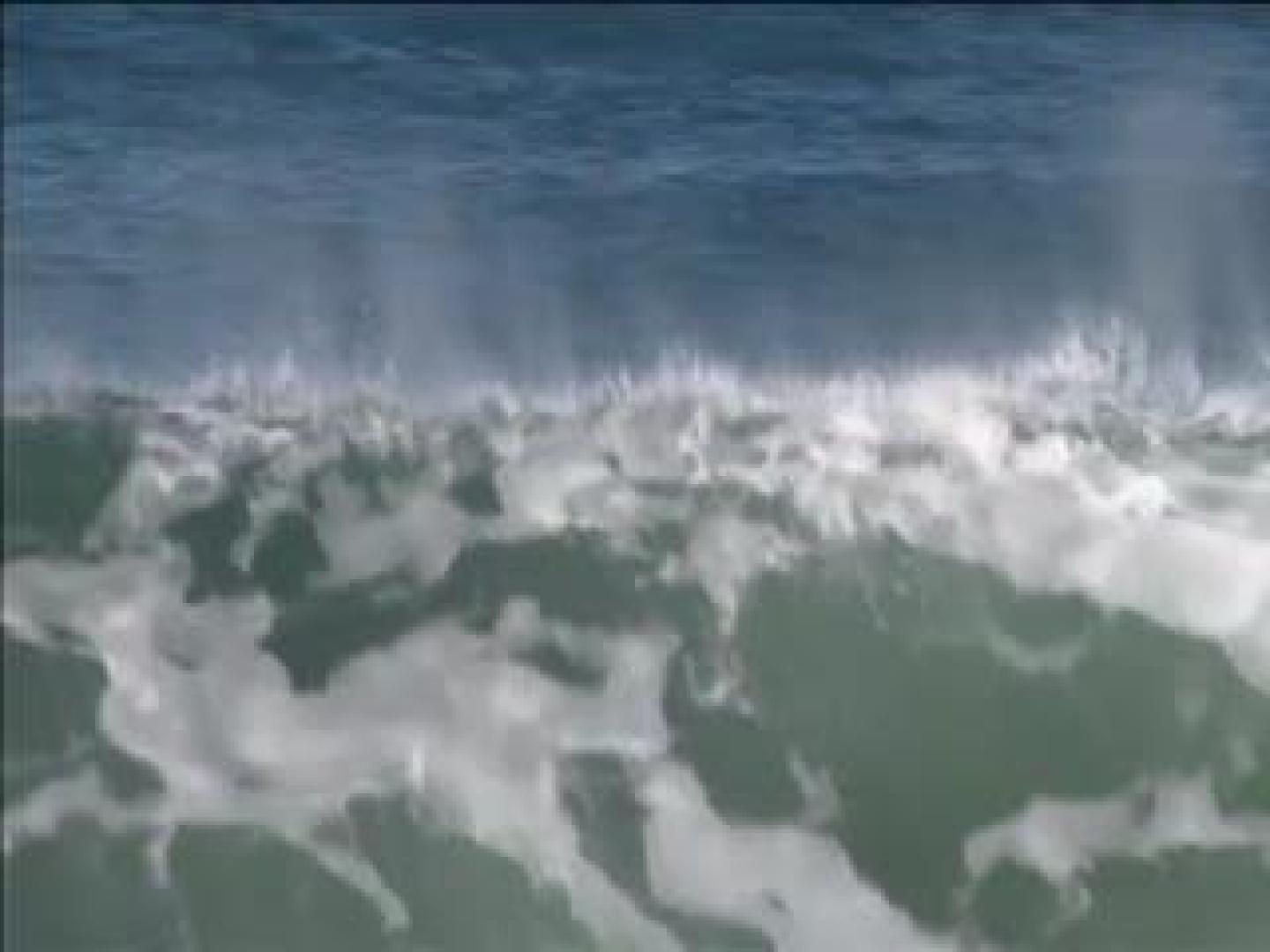 Un tiburón ataca al surfista australiano Mick Fanning.