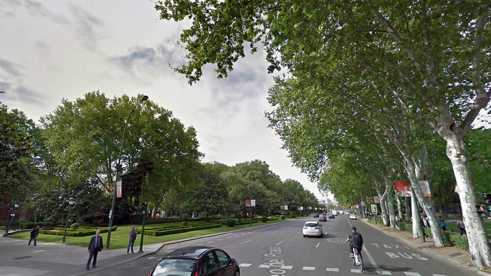 El Ayuntamiento de Madrid cerrará el Paseo del Prado los domingos por la mañana