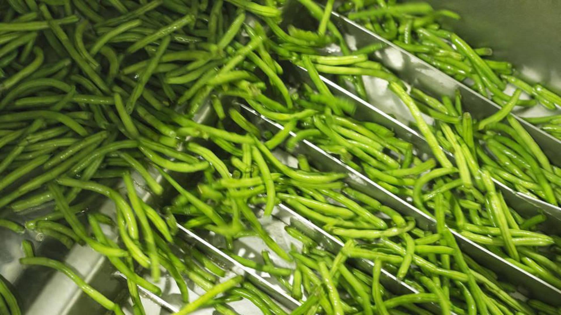 Derribando mitos sobre las verduras ultracongeladas