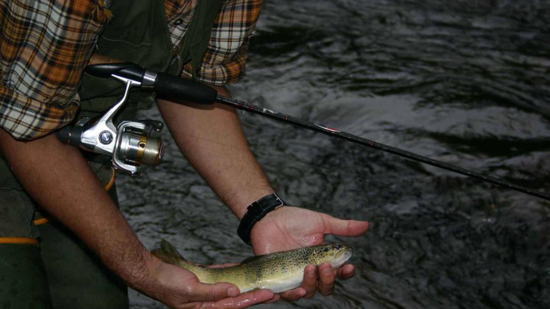 Asociaciones de pescadores critican la nueva normativade pesca de trucha salvaje