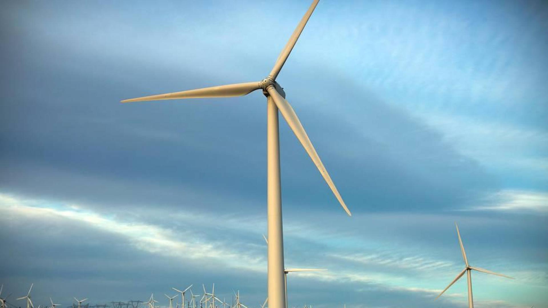 Turbinas de viento generando energía eléctrica el Día de la Tierra, el pasado 22 de abril