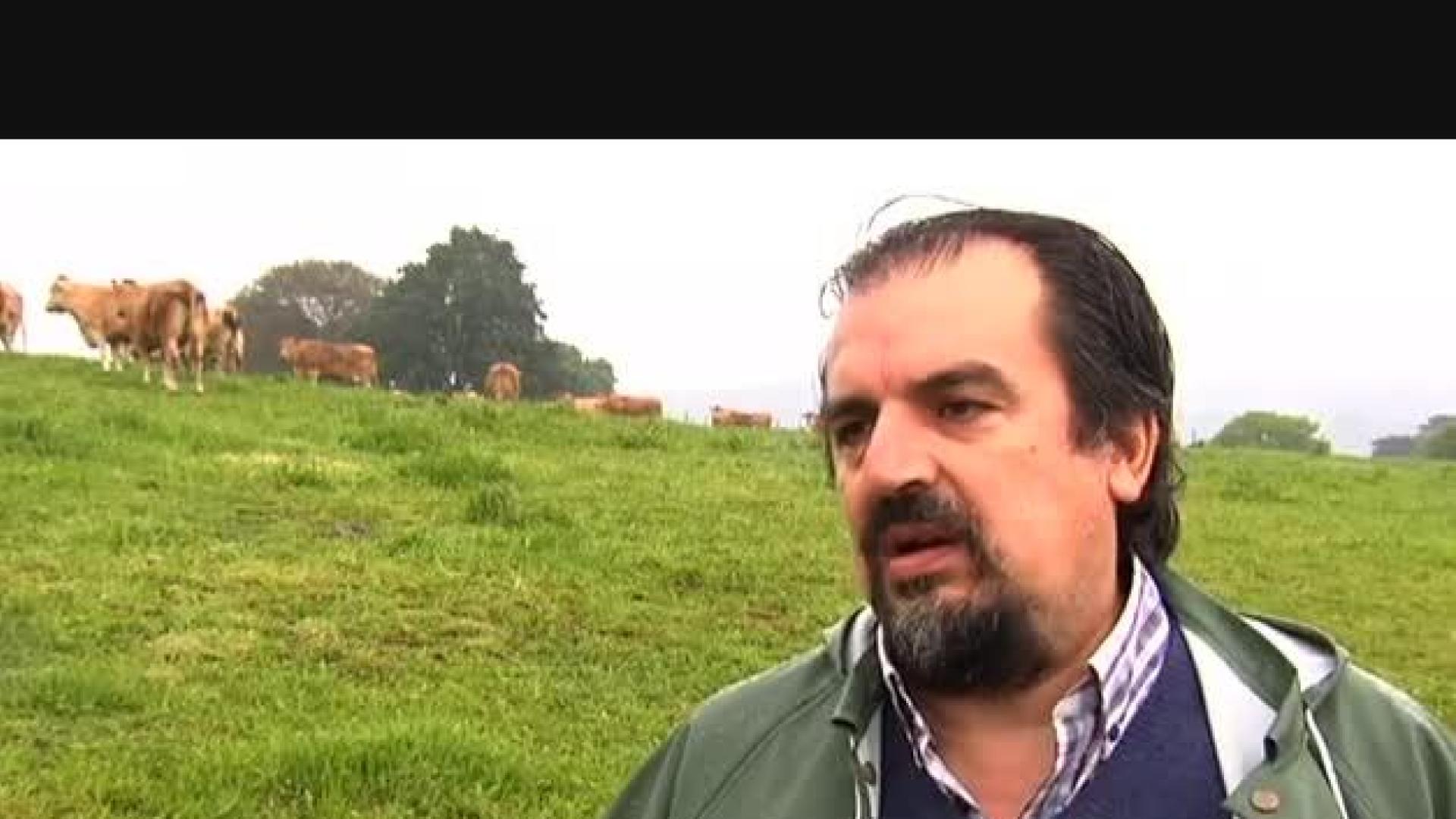 Las vacas, un peligro para la capa de ozono