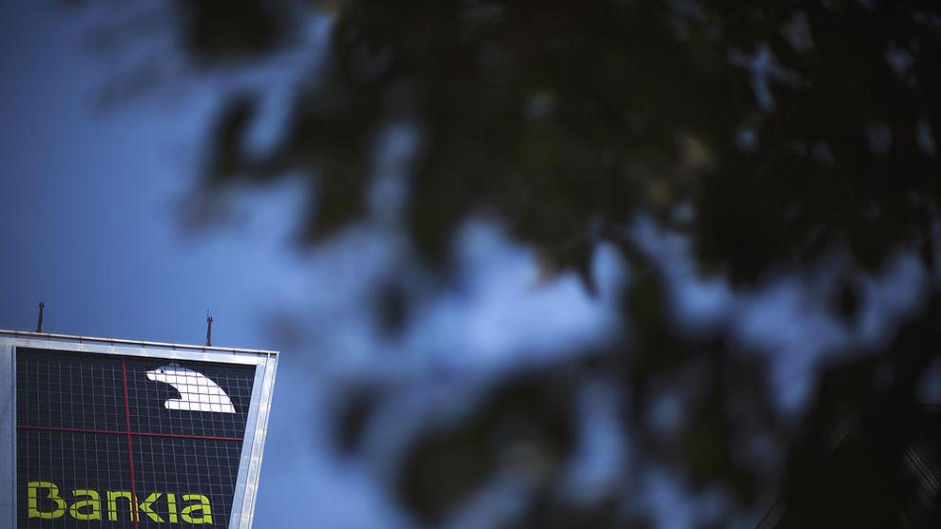 La AN toma declaraci&oacute;n a los representantes Bankia y BFA