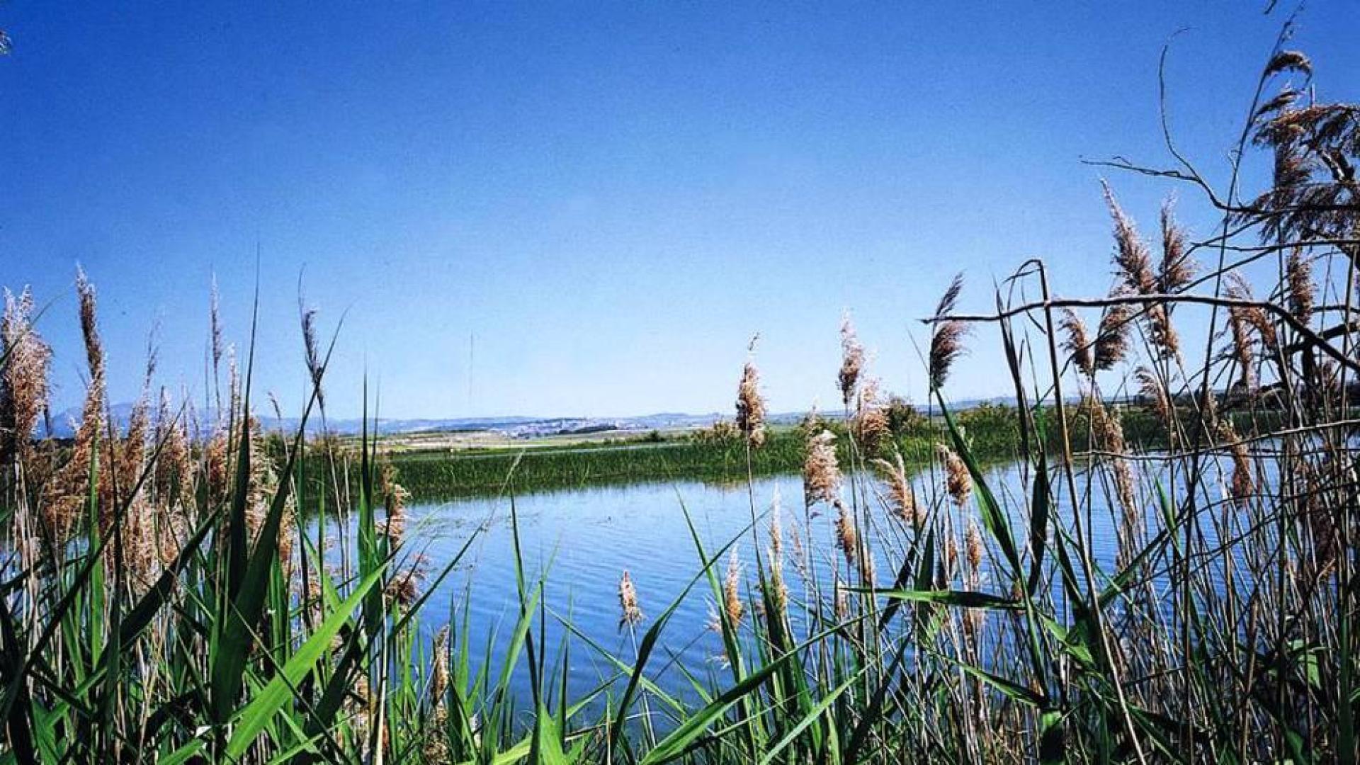El embalse de las Cañas y la Estanca de los Dos Reinos, zonas de especial conservación