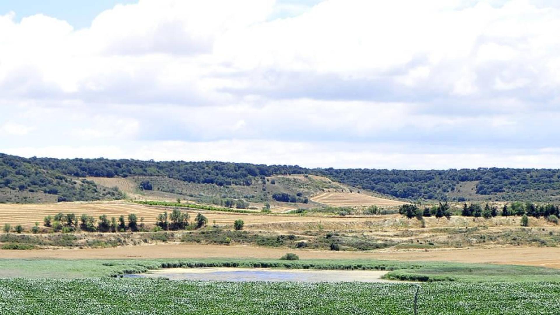 Declaran la laguna del Juncal de Tafalla zona especial de conservación