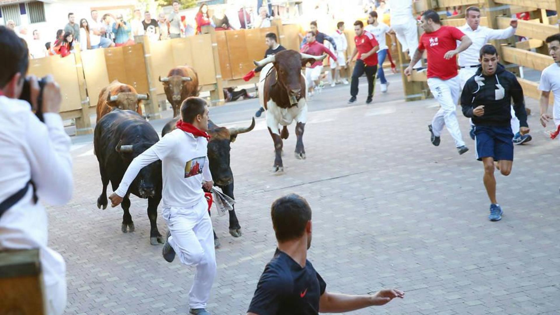 Rápido encierro en Tudela