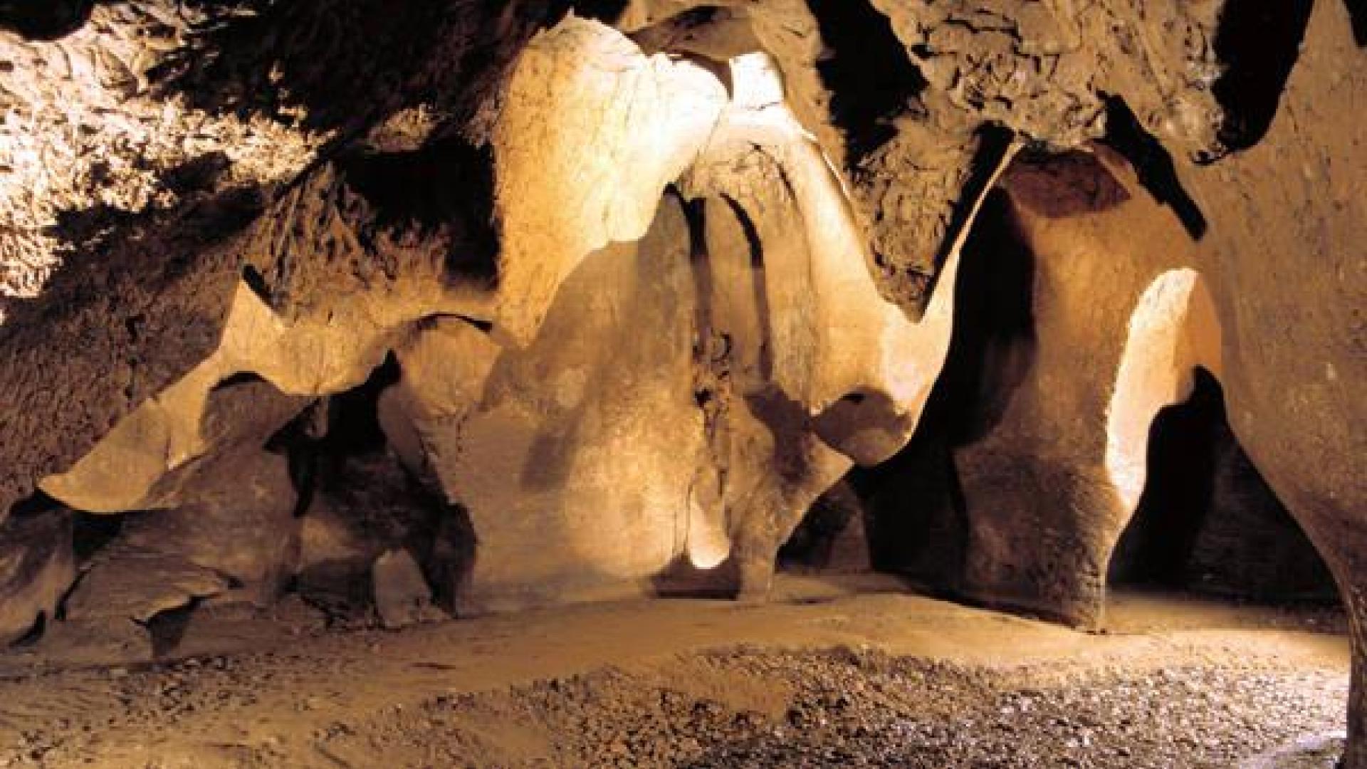 Hallan un diente y un parietal de un niño neandertal de hace 50.000 años en Moià