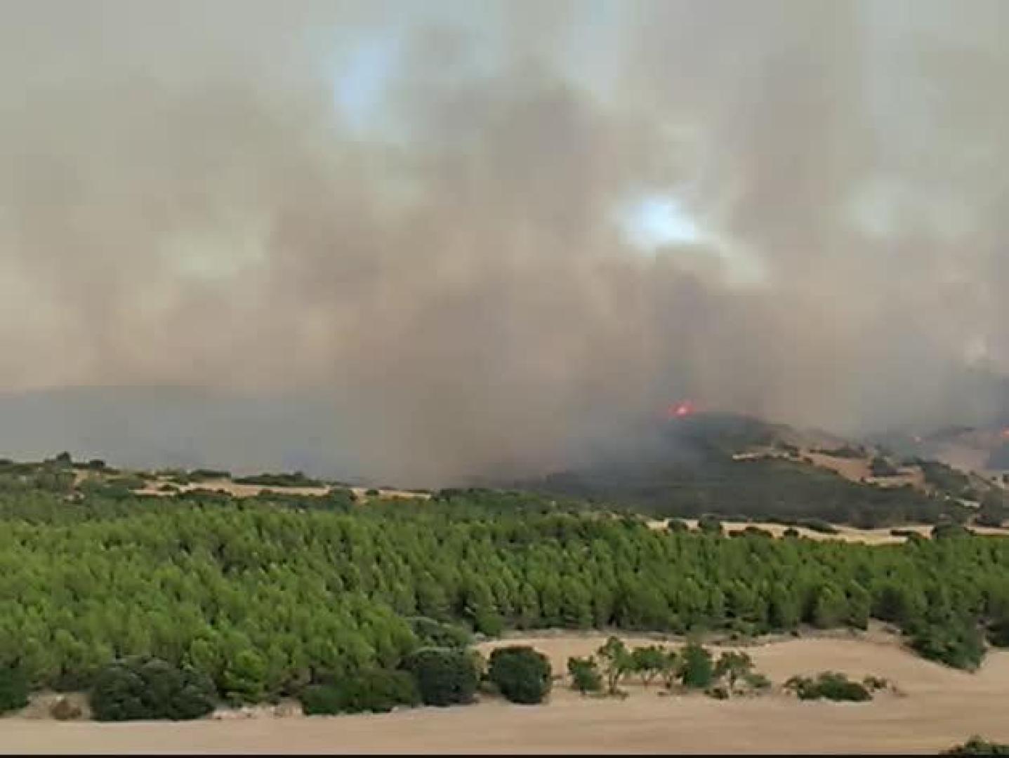 Incendio en Artajona (II)