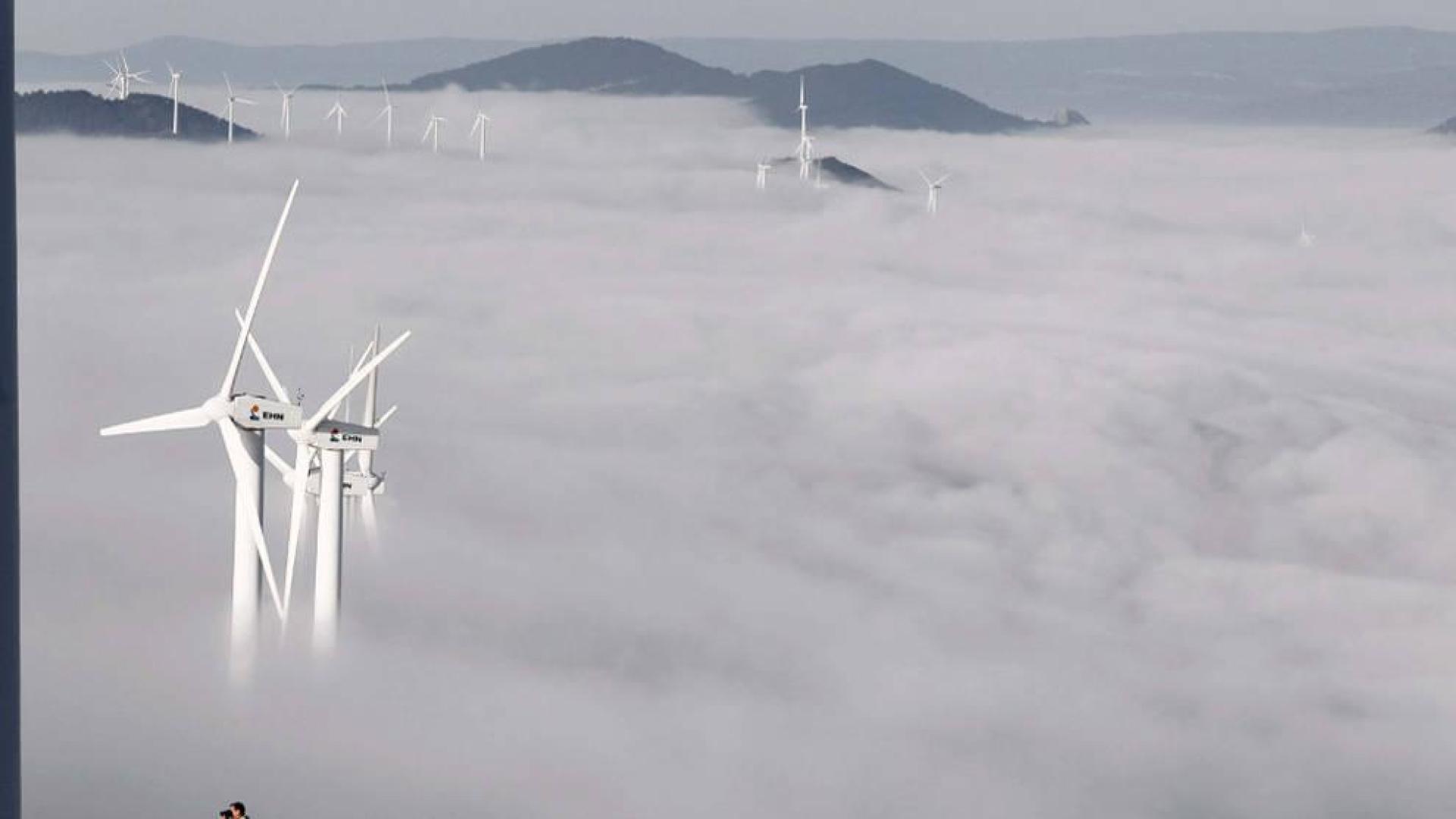 Las ventas de electricidad renovable de Navarra se desplomaron en 2014