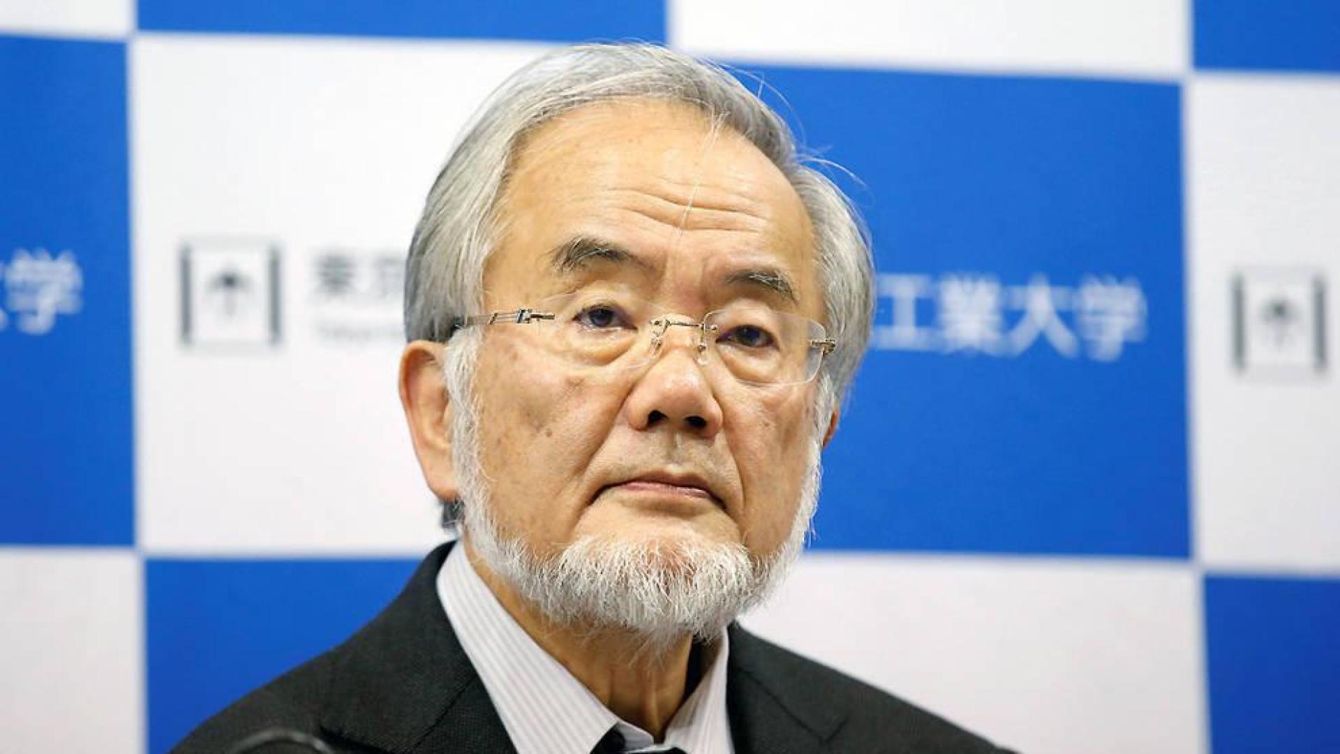 El Nobel de Medicina, para el japonés que descubrió la 'autofagia'