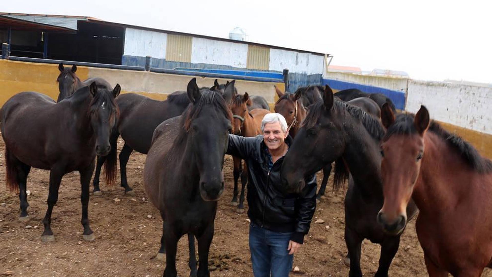 Un caballo ribero, campeón de España