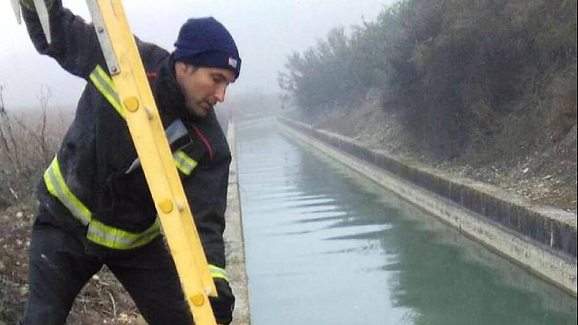Rescatan a un jabalí de 60 kilos del canal entre Marcilla y Villafranca