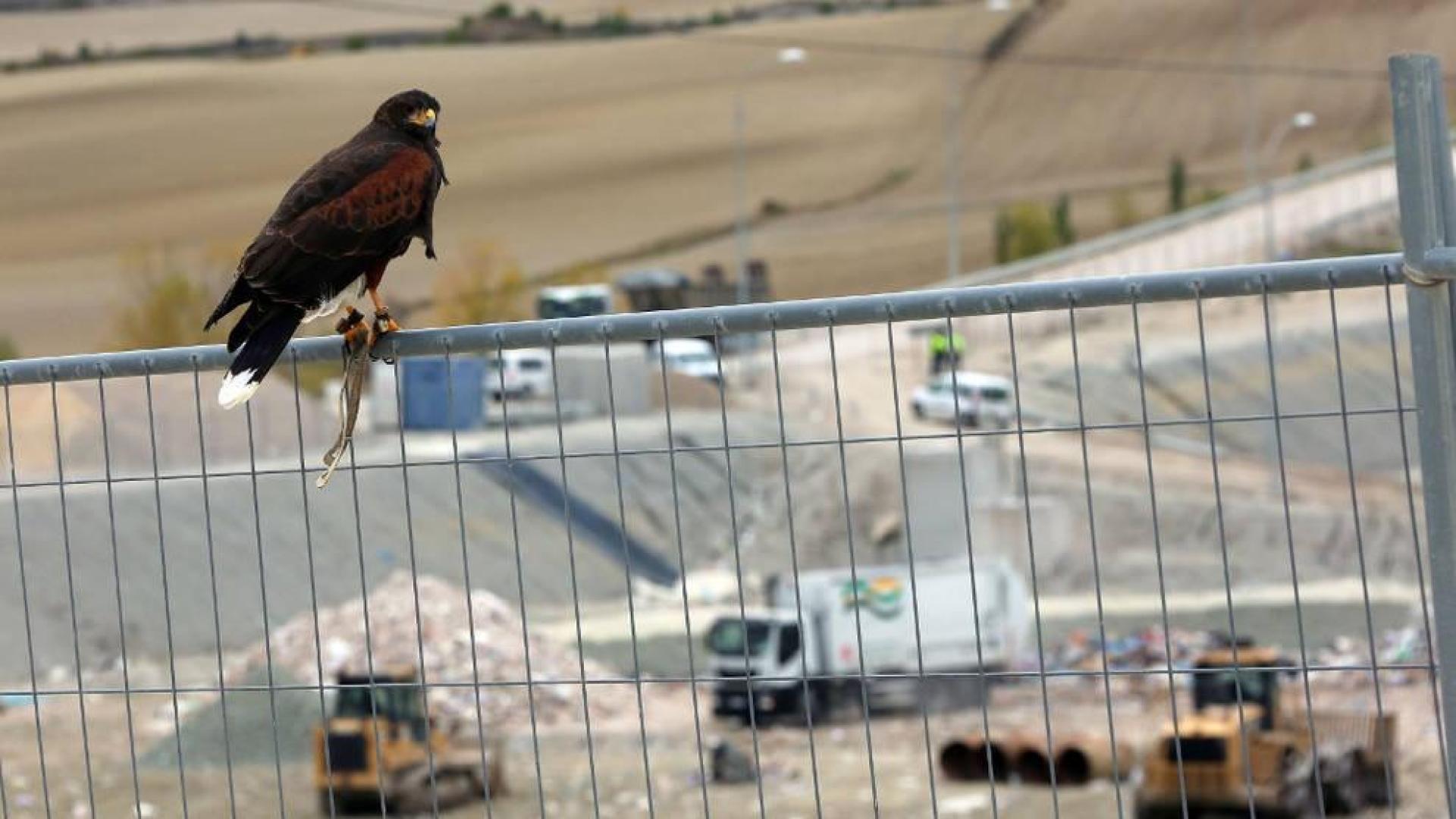 Un vertedero “pequeño” en la Comarca podría relevar a Góngora a partir de 2022