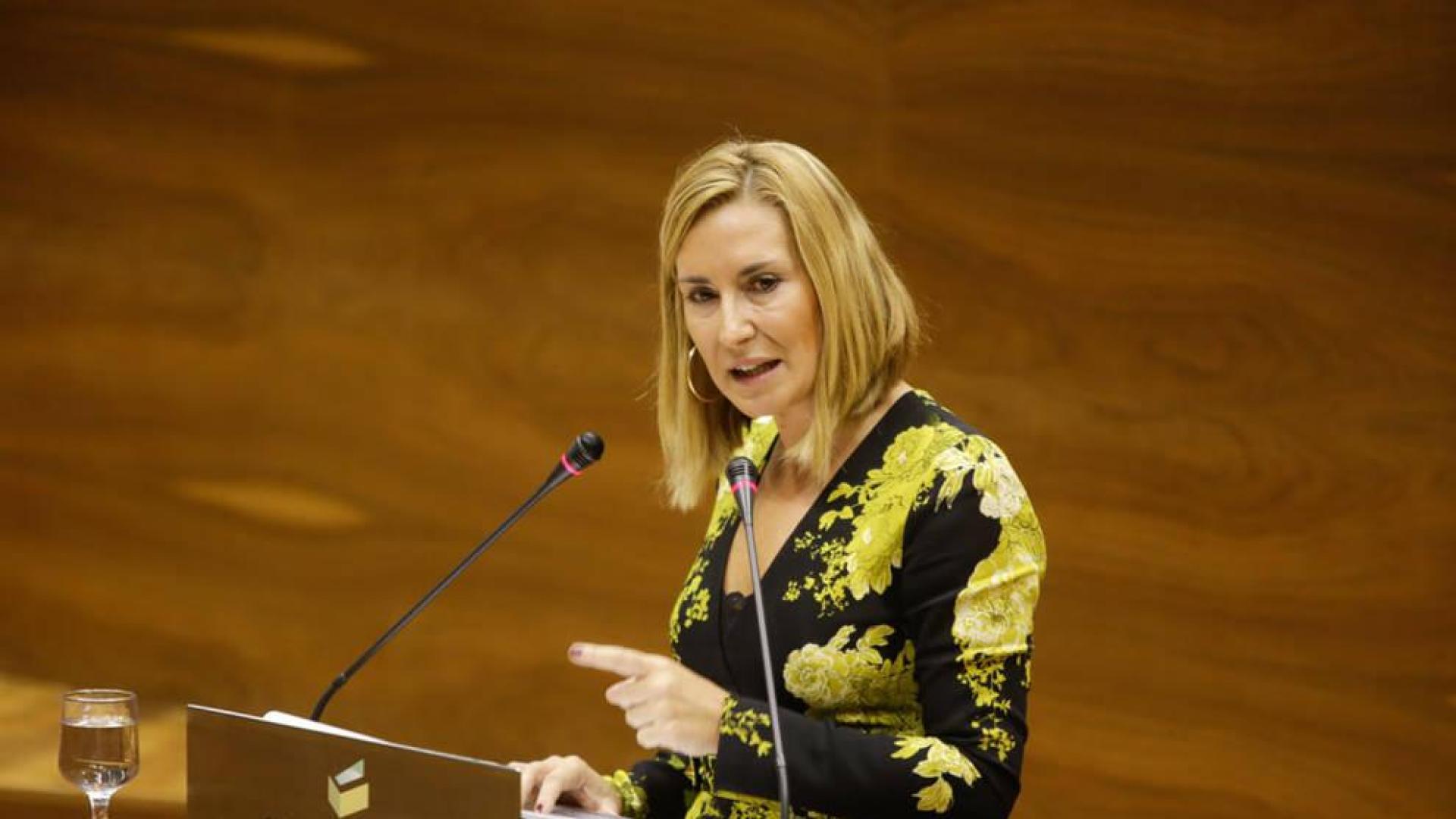 Beltrán (PPN) dice que el primer año del Gobierno "ha sido el del retroceso"