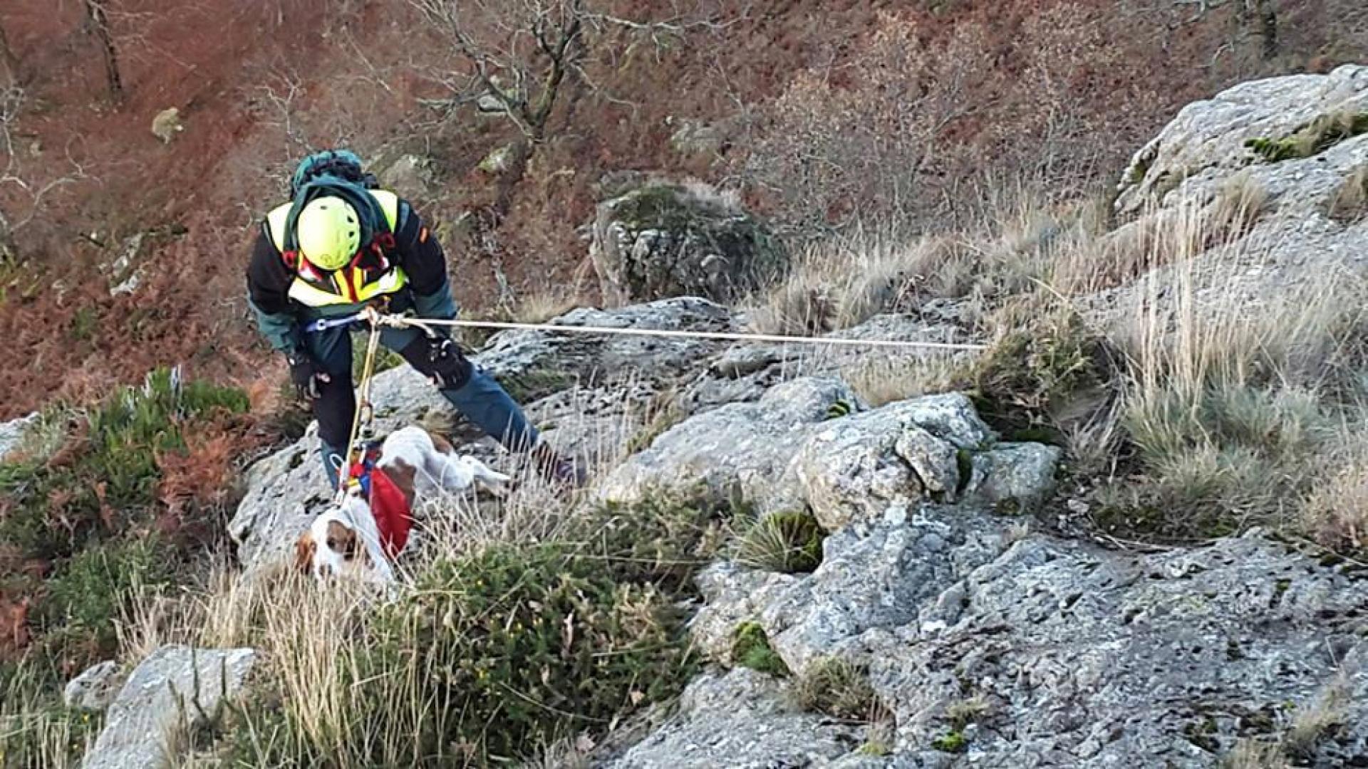 Movilizan al helicóptero para rescatar a un perro en Lesaka