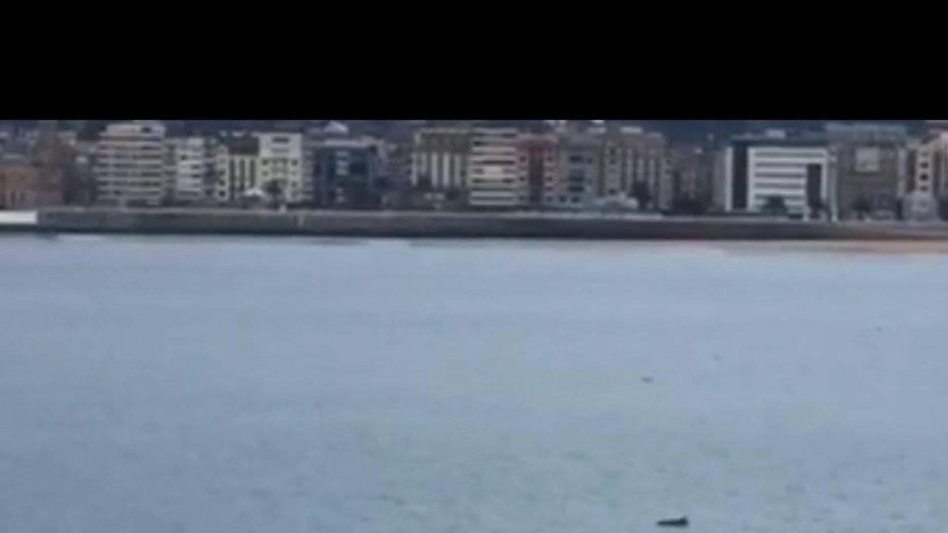 Aparece un delfín en la playa de la Concha de San Sebastián