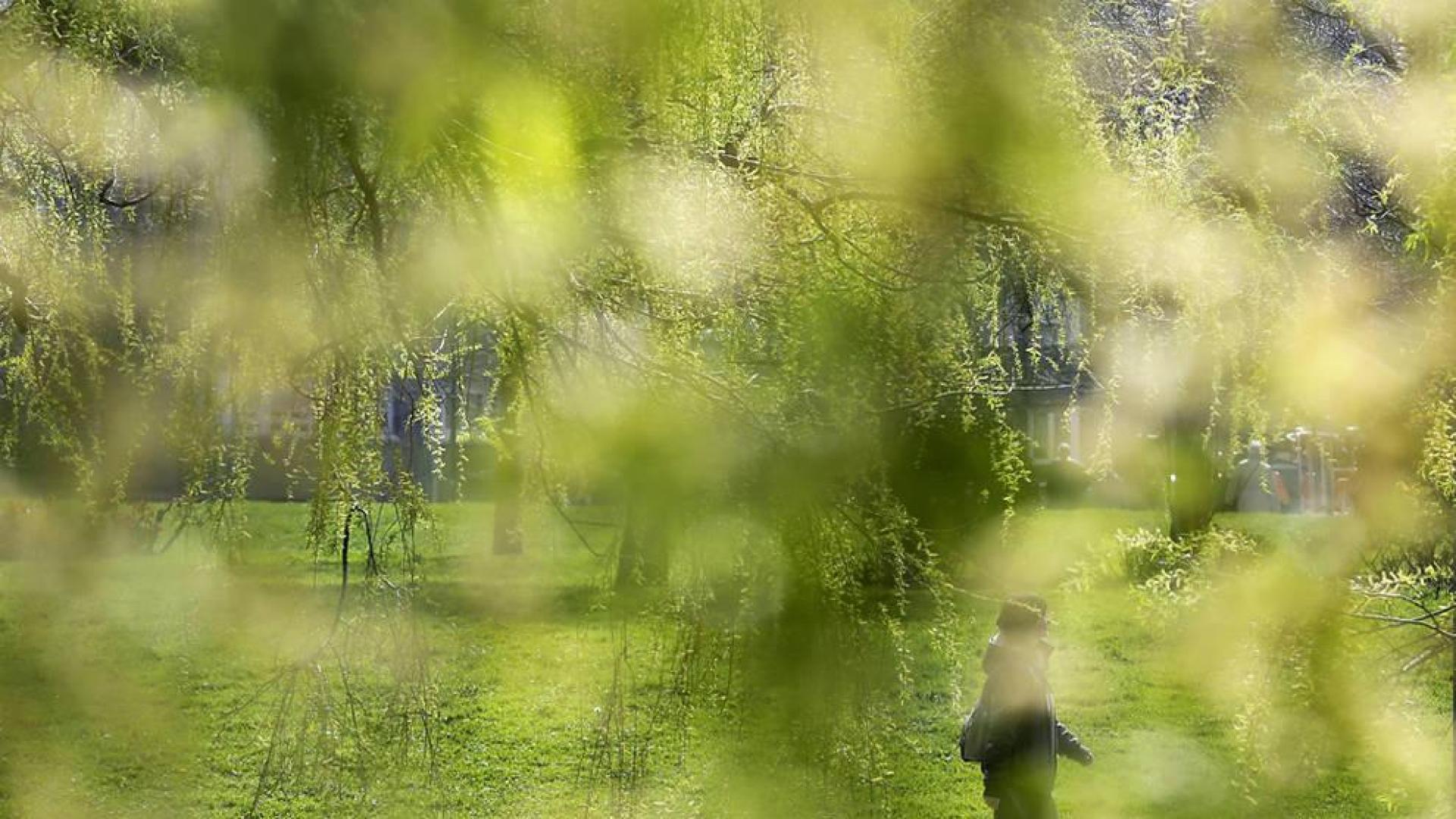Miércoles soleado con algunas nieblas matinales en Navarra