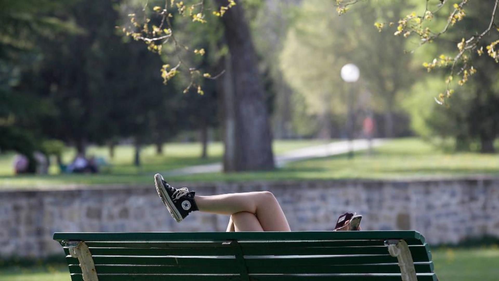 Los docentes navarros piden un análisis en profundidad