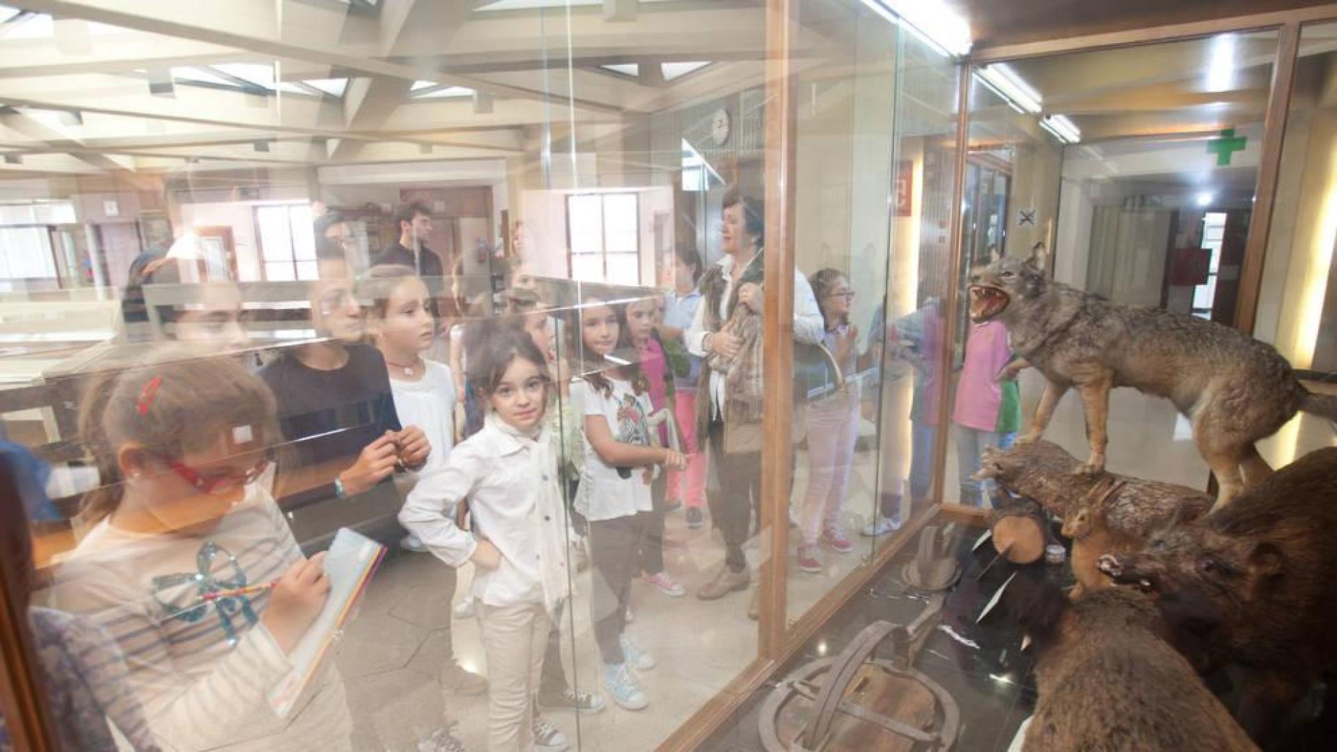 El público podrá visitar por primera vez el Museo de Ciencias Naturales de la UN