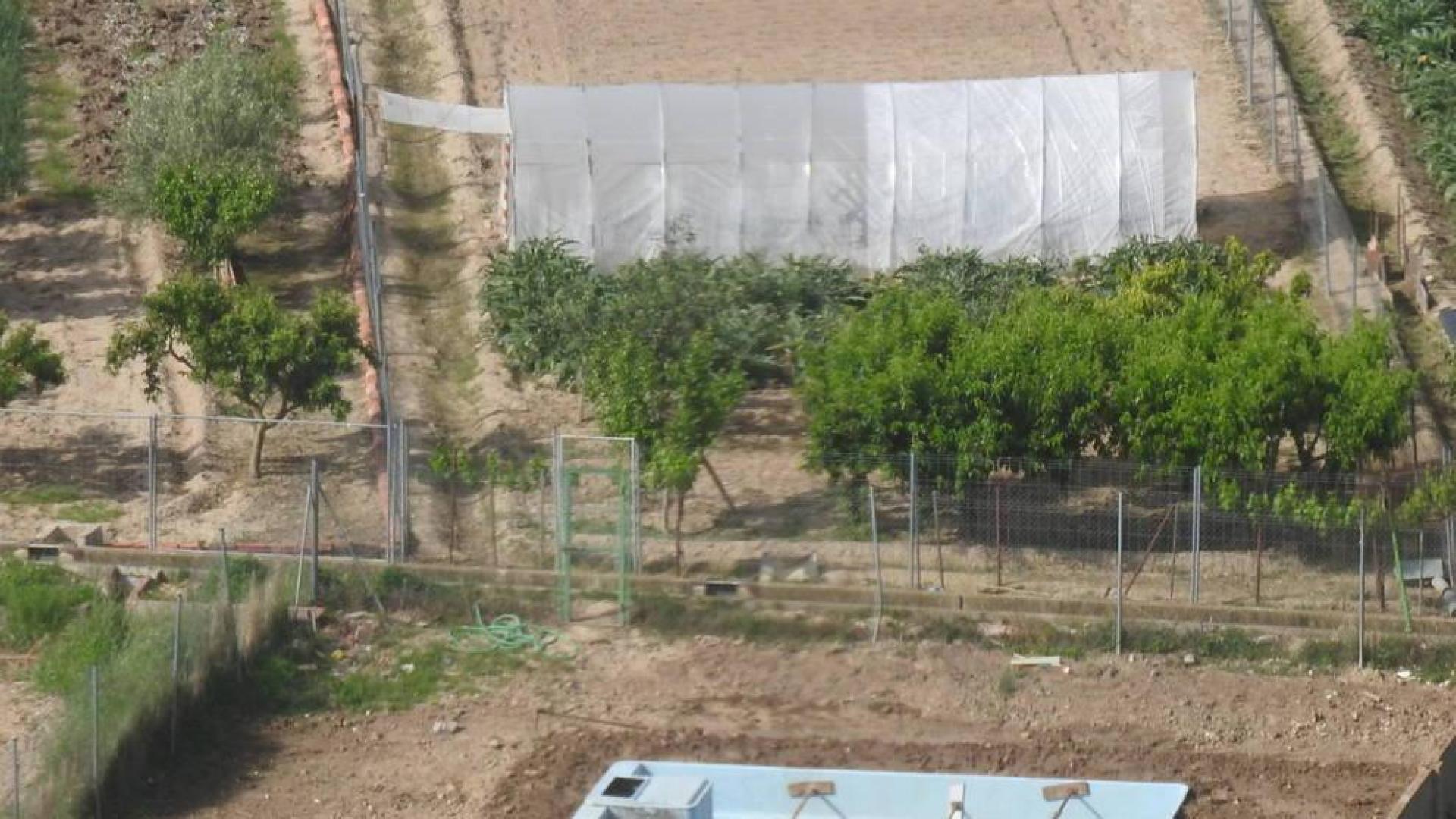 La piscina que se fue en tractor