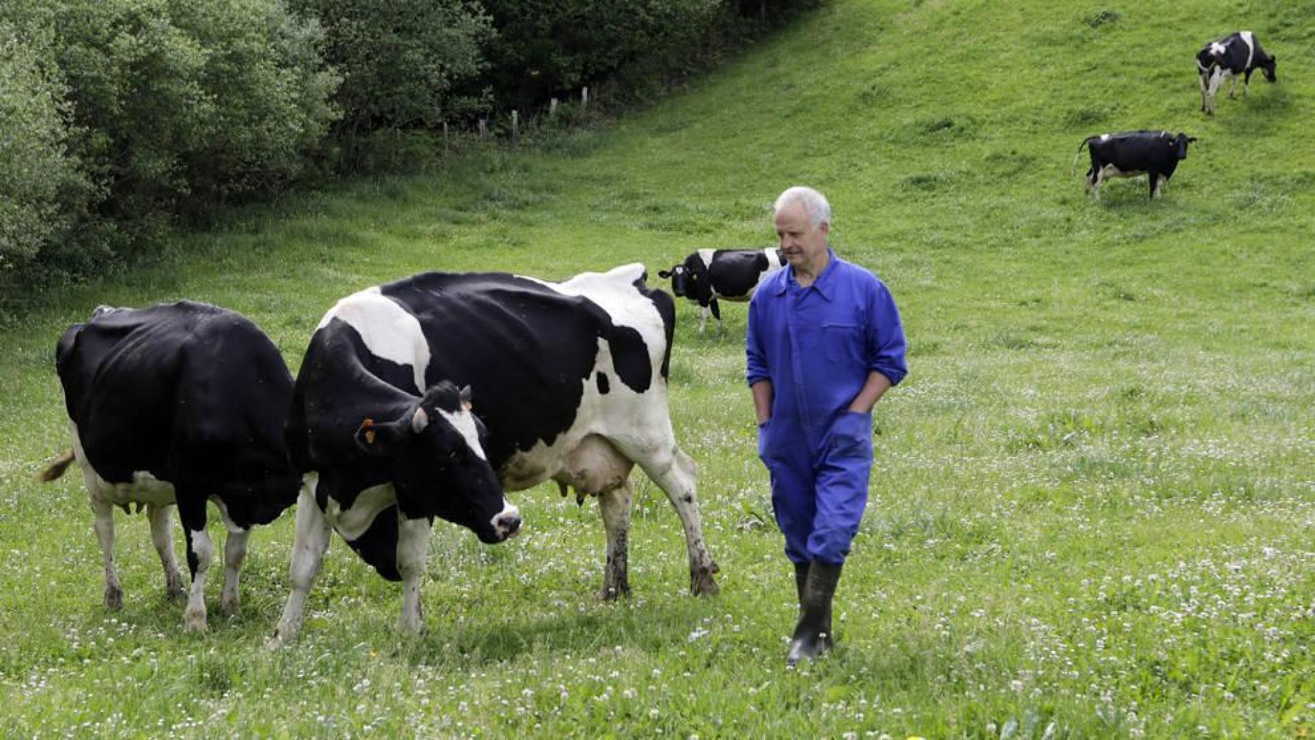 Leche del caserío