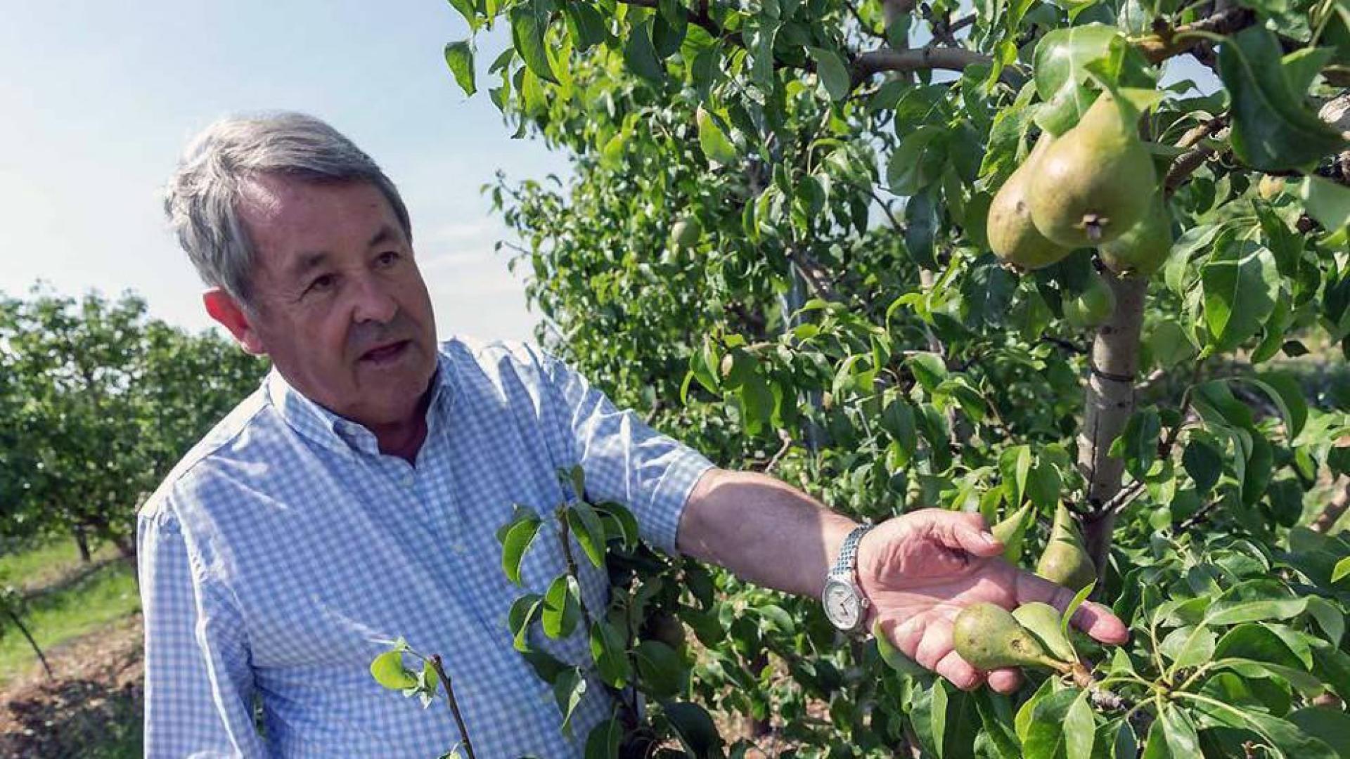 El granizo causa graves daños en los cultivos de la Ribera