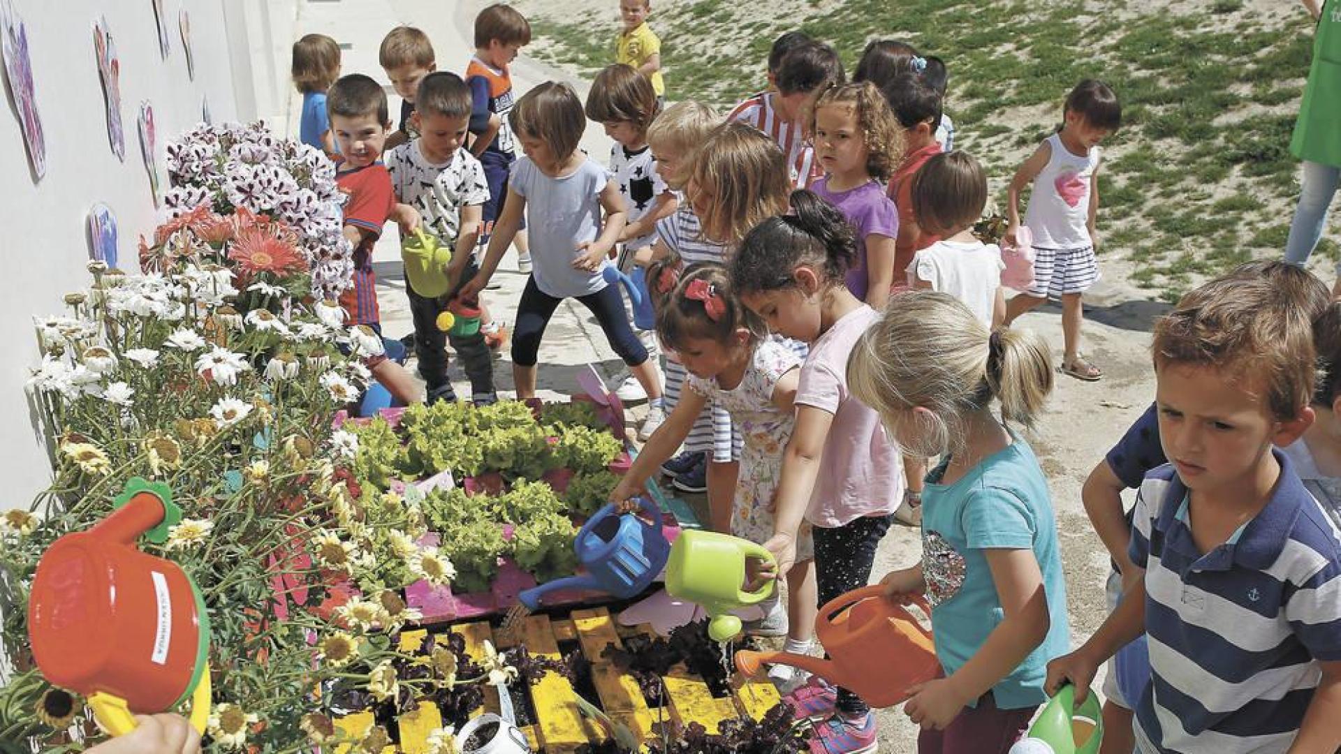 La clase donde floreció un huerto