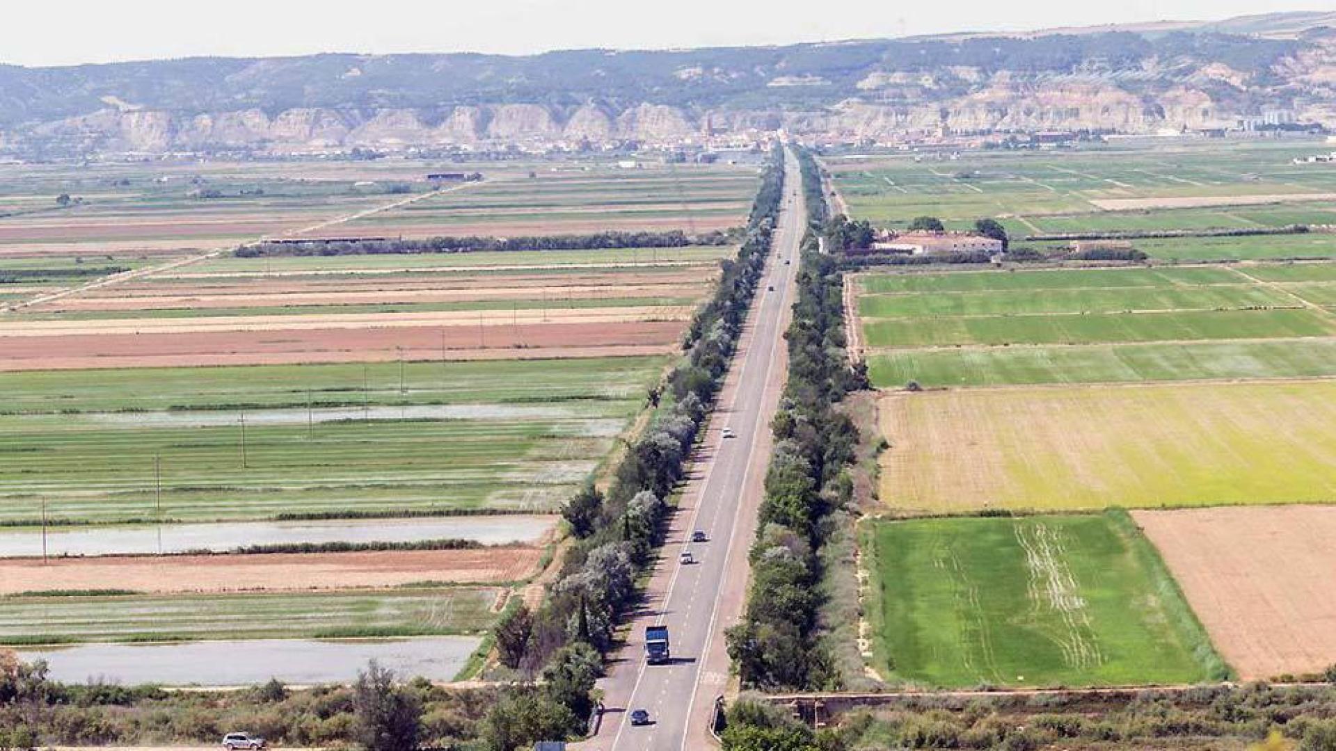 Tudela y Arguedas estudian utilizar murciélagos contra los mosquitos