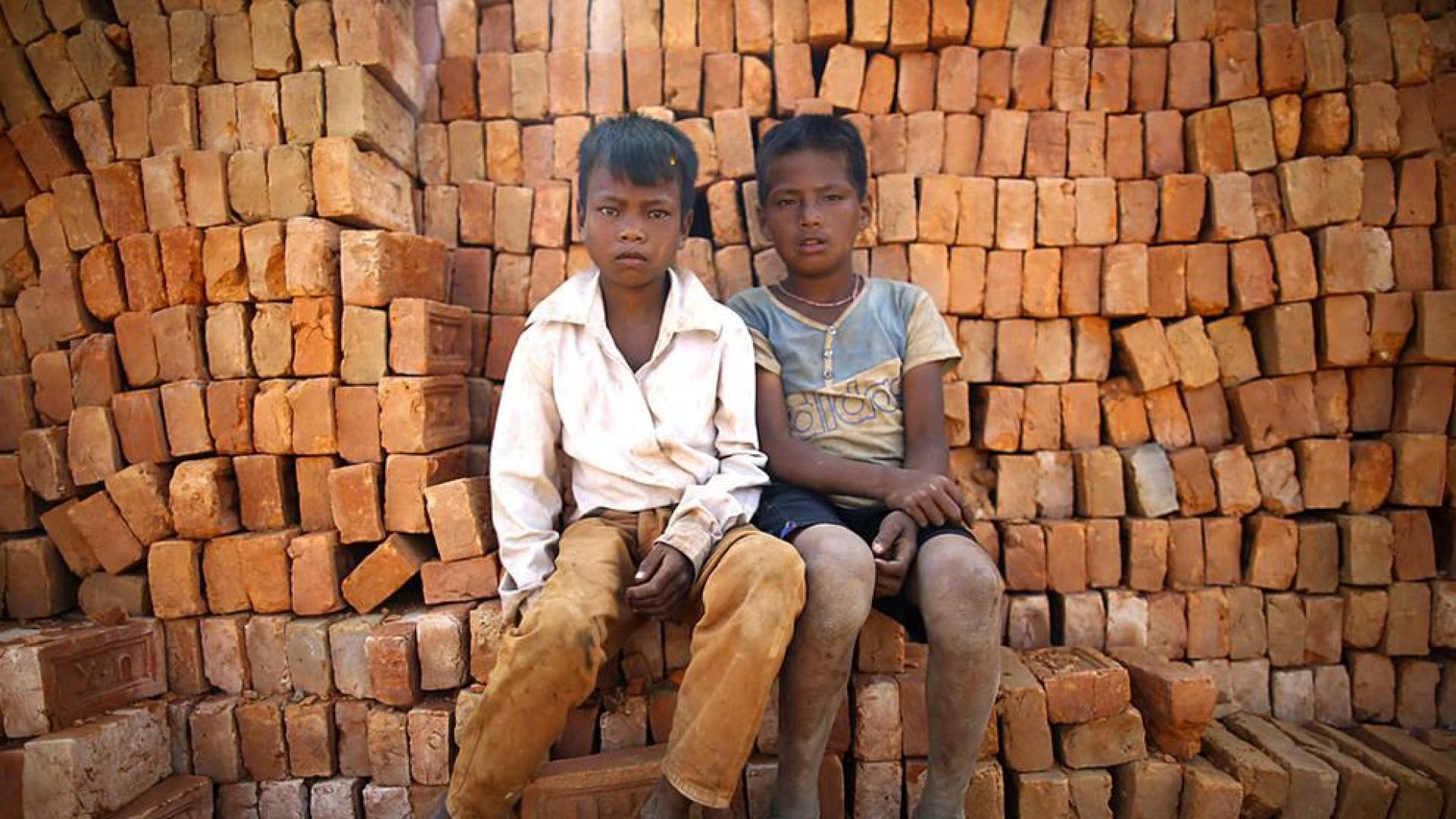 Más de 168 millones de niños trabajan en el mundo