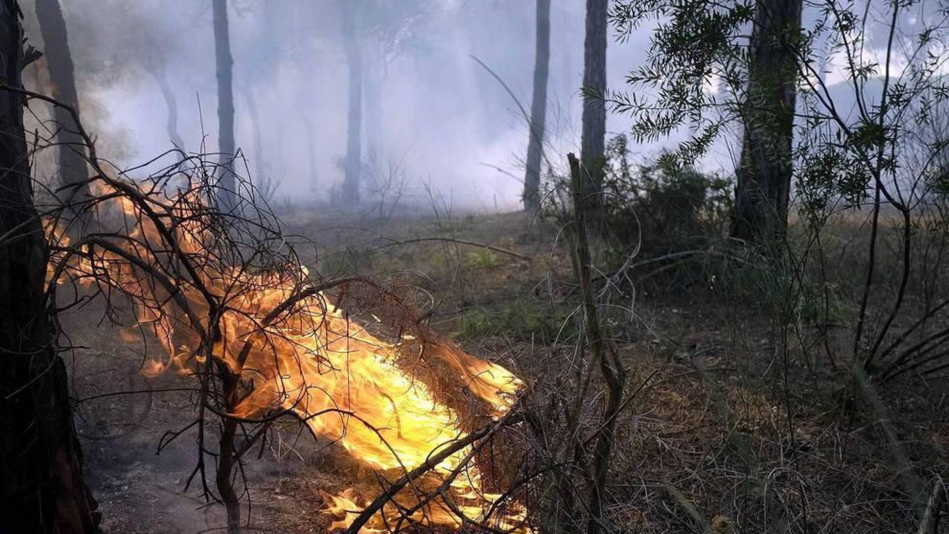 Imágenes del fuego que ha afectado a localidades como Mazagón o Matalascañas.