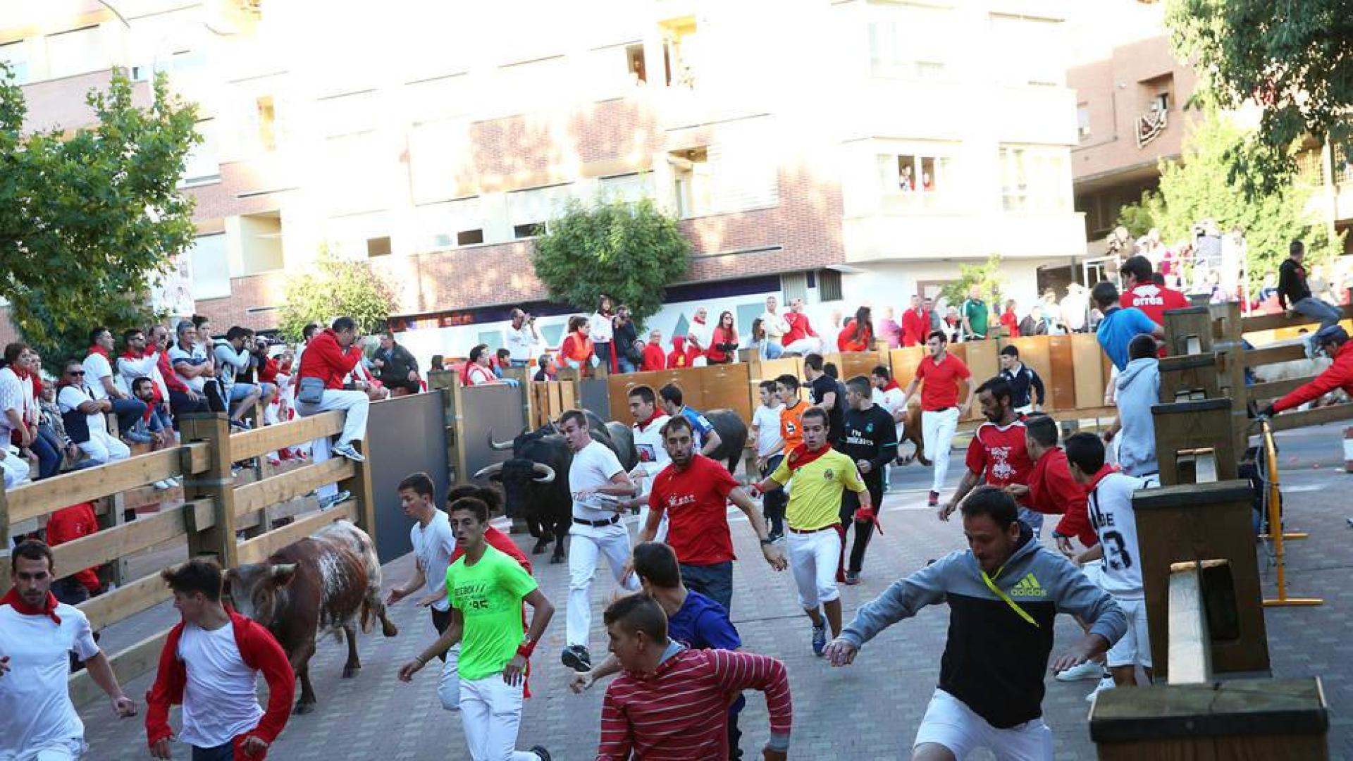 Rápido y limpio segundo encierro en las fiestas de Tudela