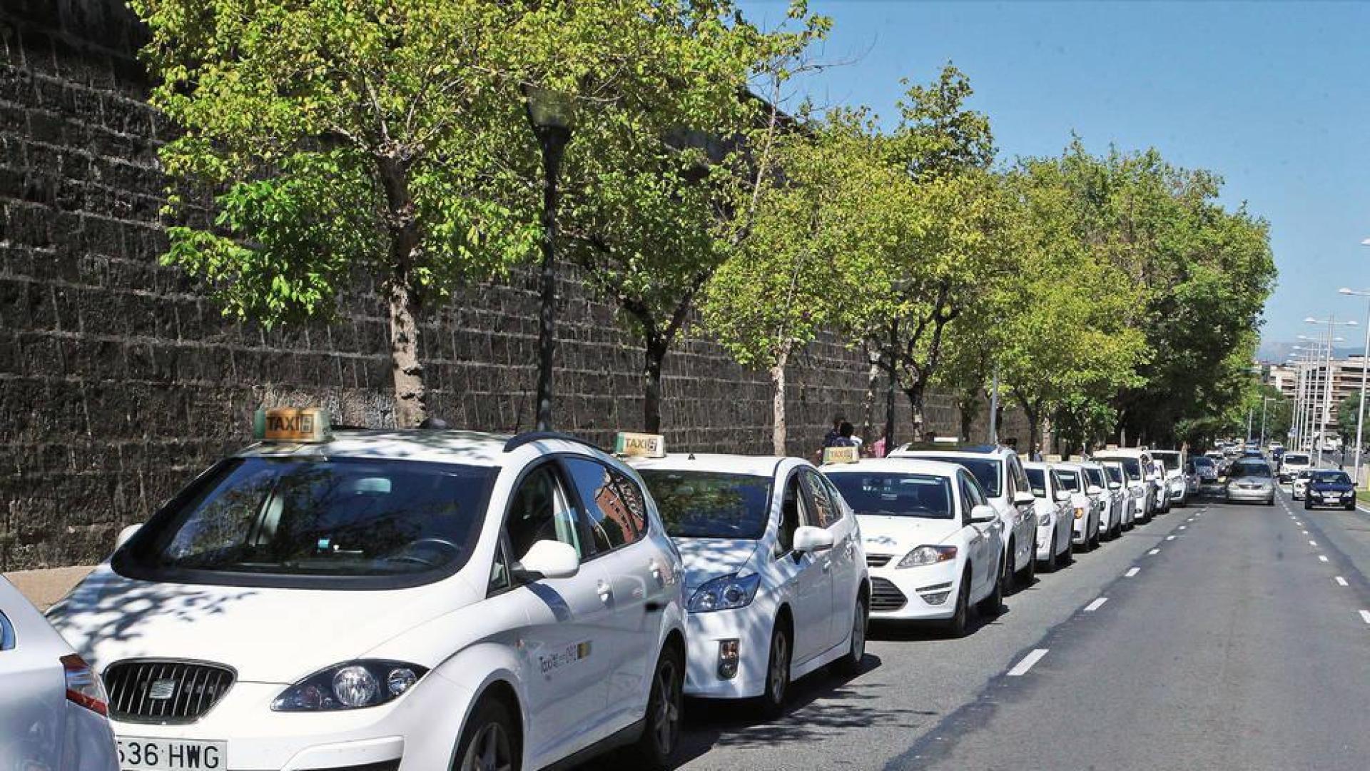 Los taxistas de Pamplona paran dos horas en la Avenida del Ejército