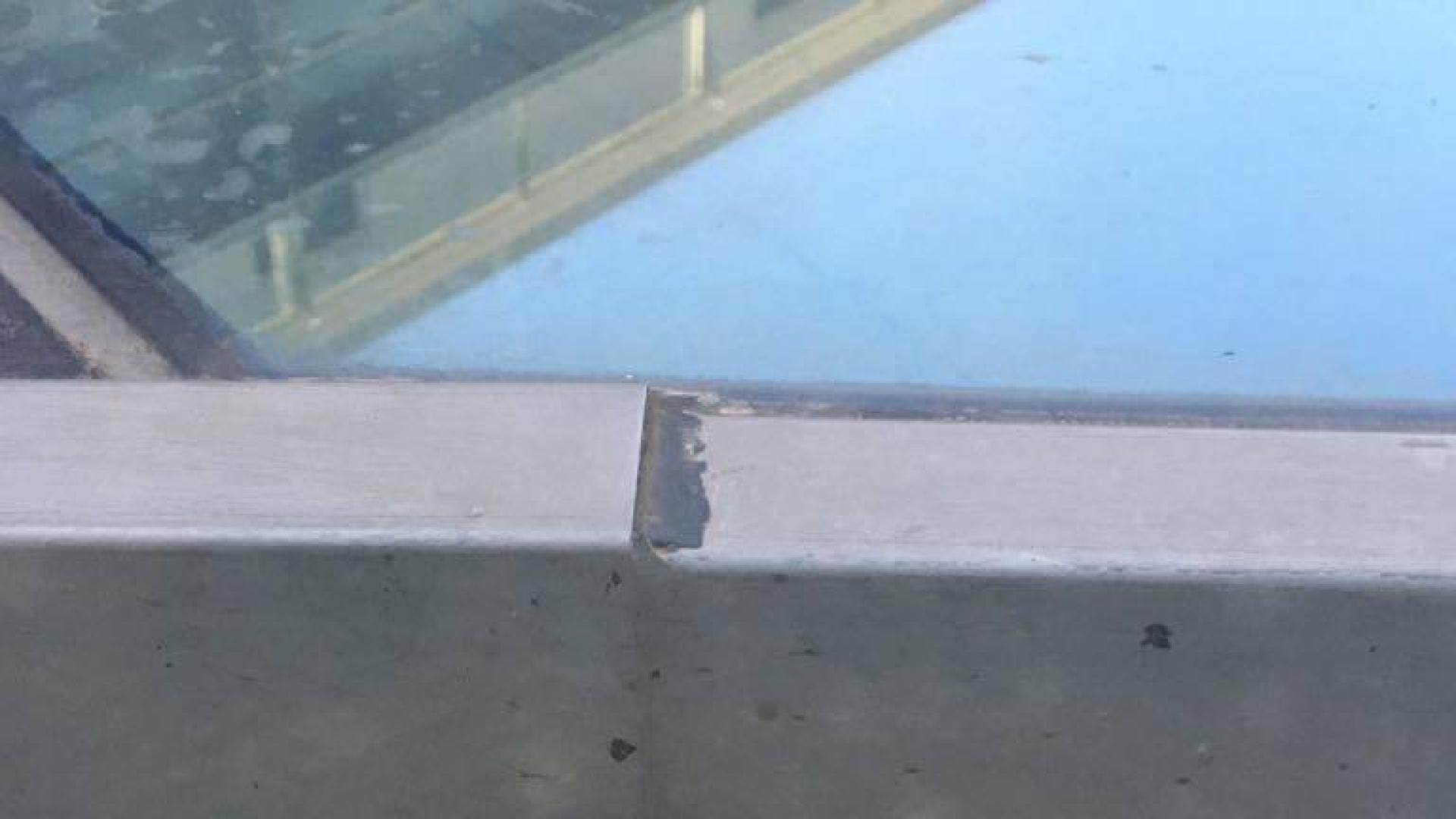 Un joven autillo, atrapado en el techo de cristal del Parlamento