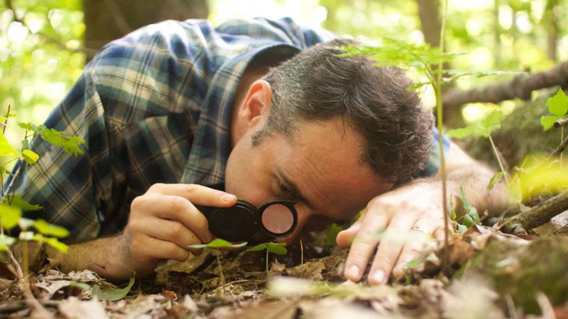 La naturaleza fascina 'en un metro de bosque'