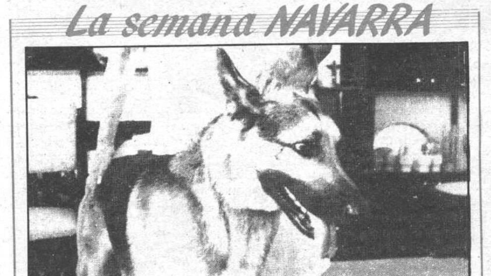 'Bostik', en la portada de Diario de Navarra el 23 de agosto de 1987.