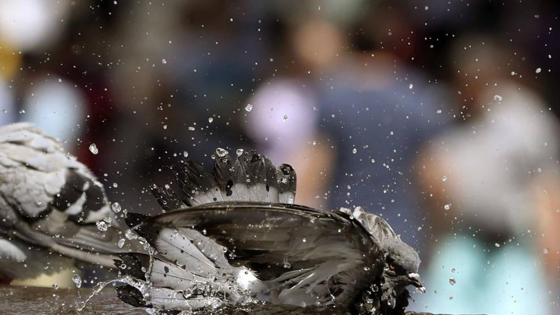 Calor sofocante con más de 35 grados en Navarra en un 14 de junio para el recuerdo